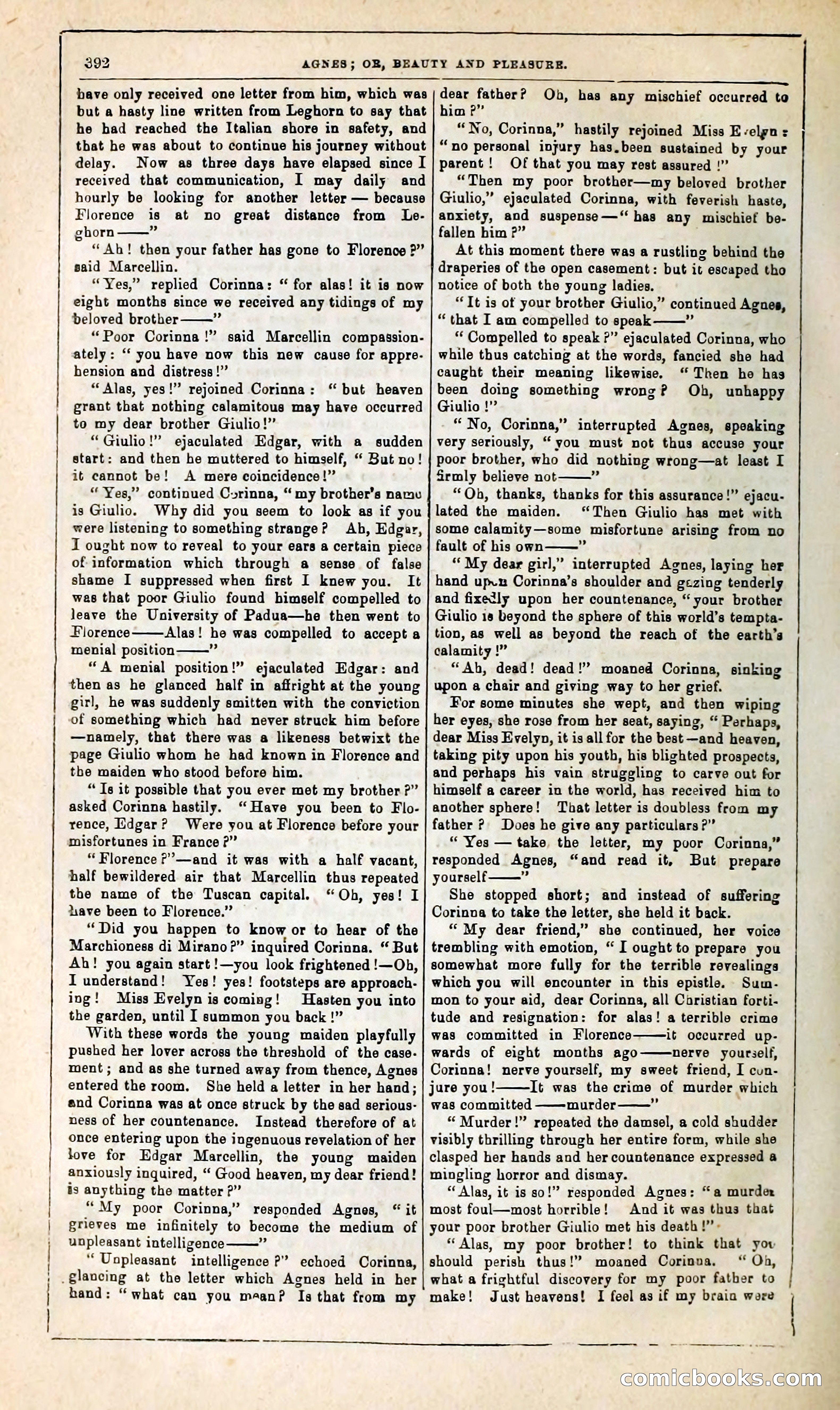 Agnes, or, Beauty and Pleasure — page 400 of 394