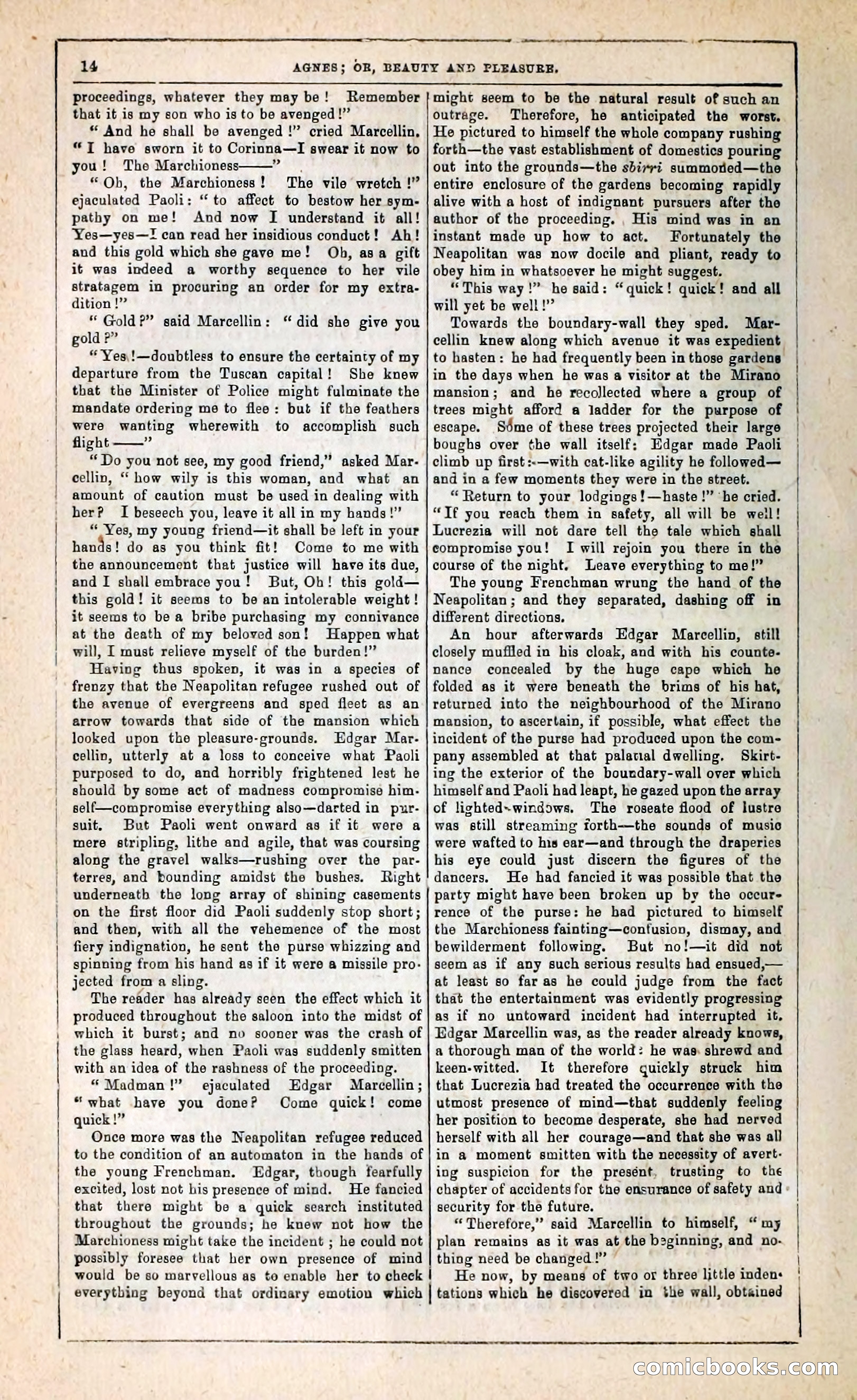 Agnes, or, Beauty and Pleasure — page 22 of 394