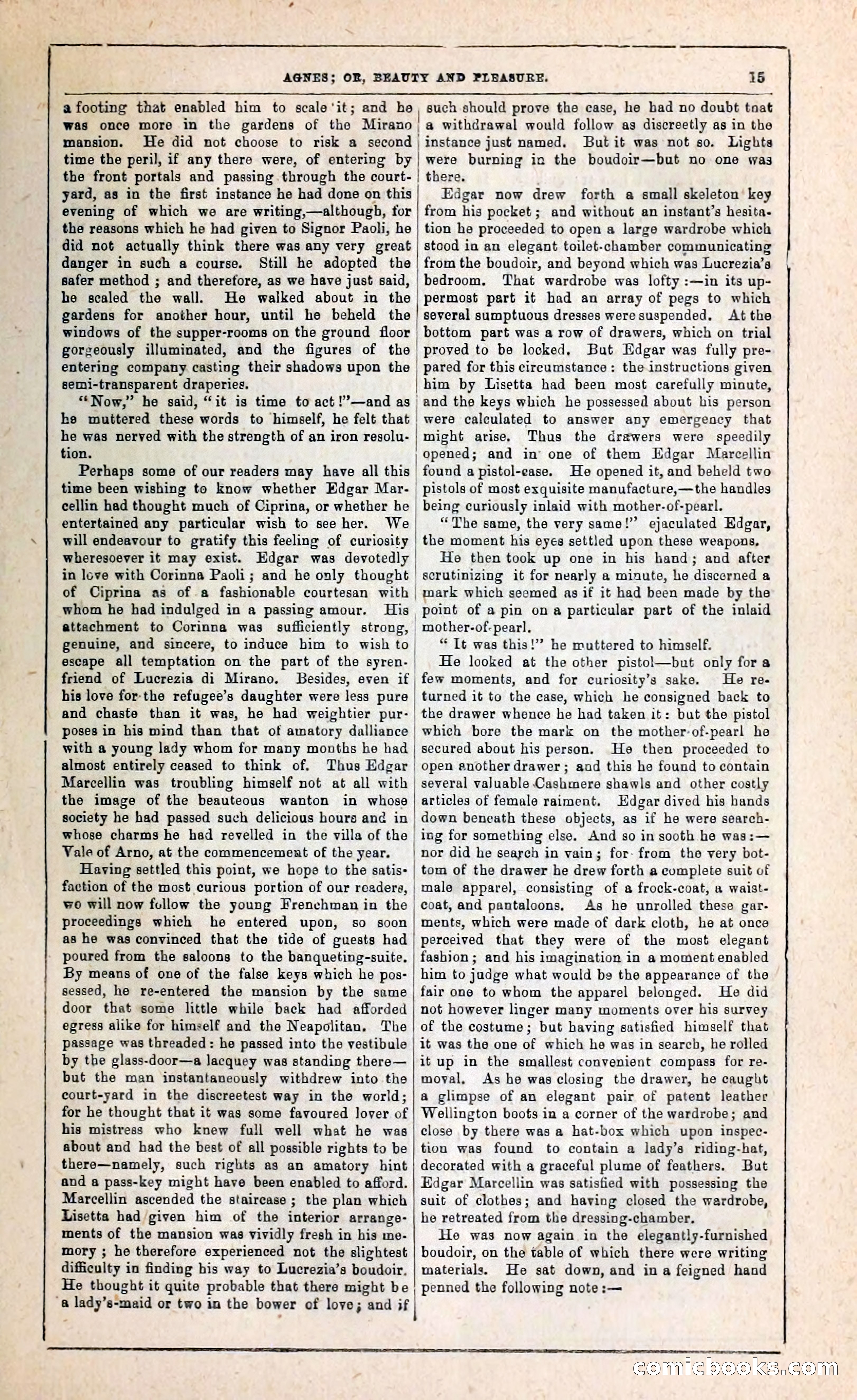 Agnes, or, Beauty and Pleasure — page 23 of 394