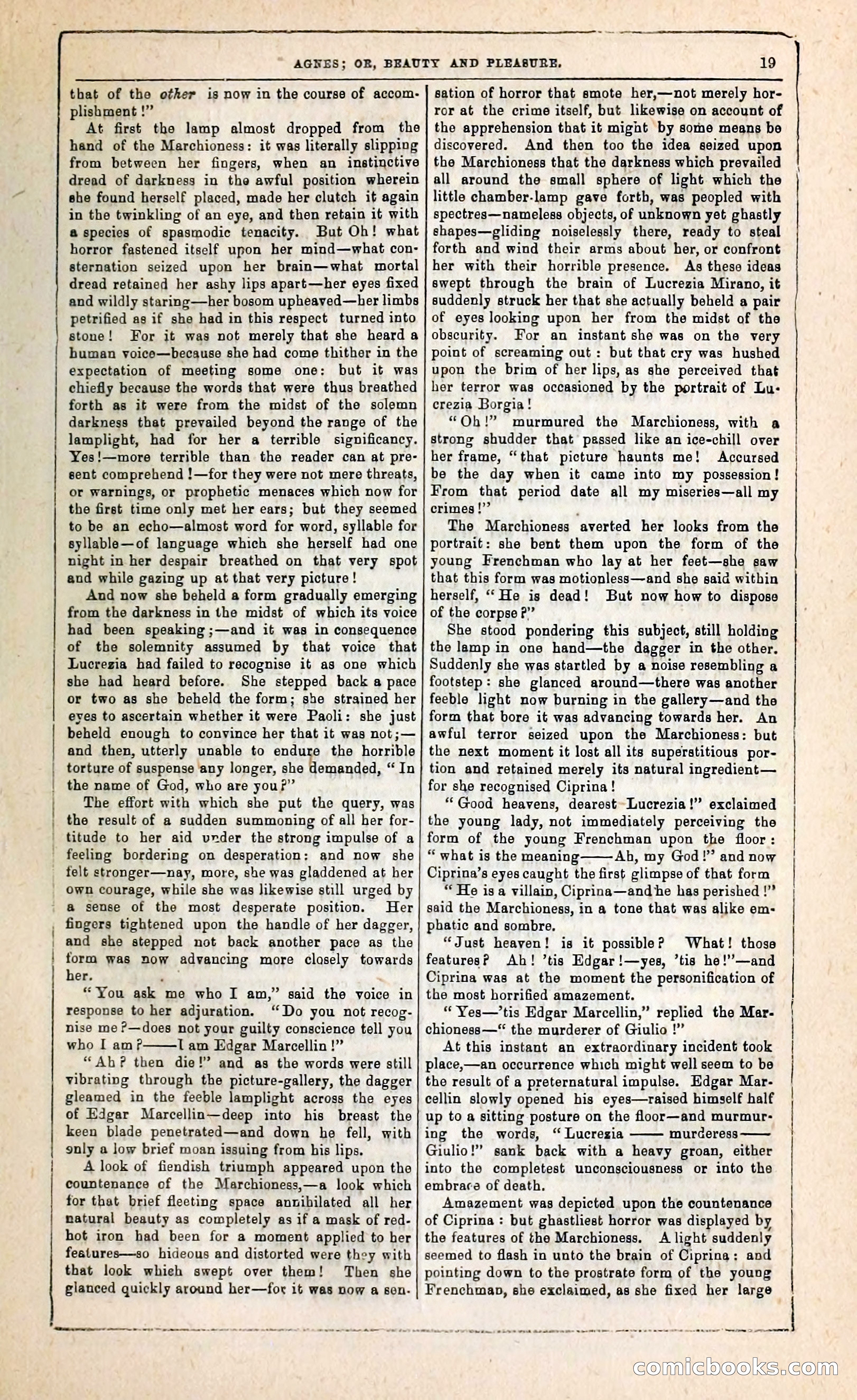 Agnes, or, Beauty and Pleasure — page 27 of 394