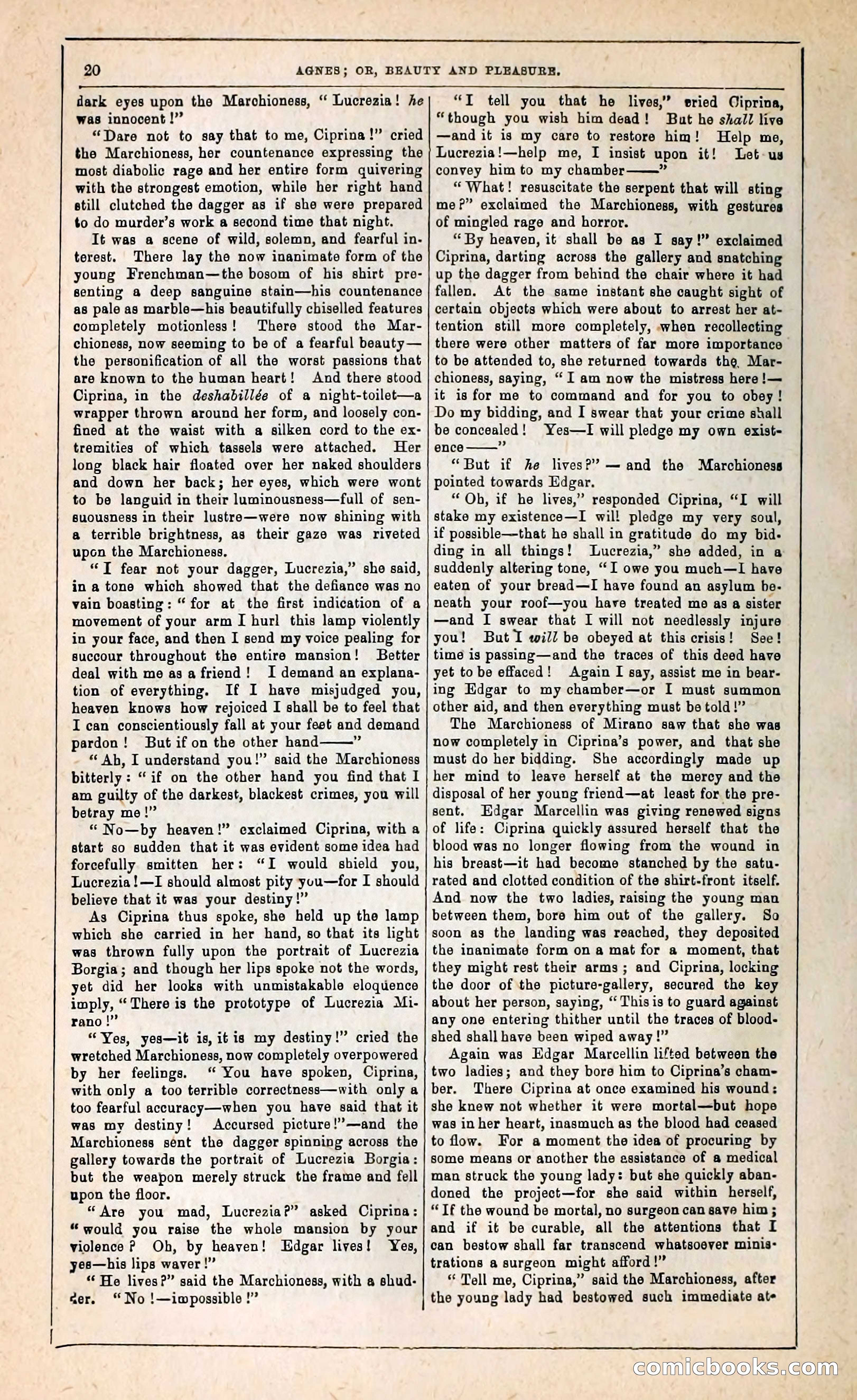 Agnes, or, Beauty and Pleasure — page 28 of 394