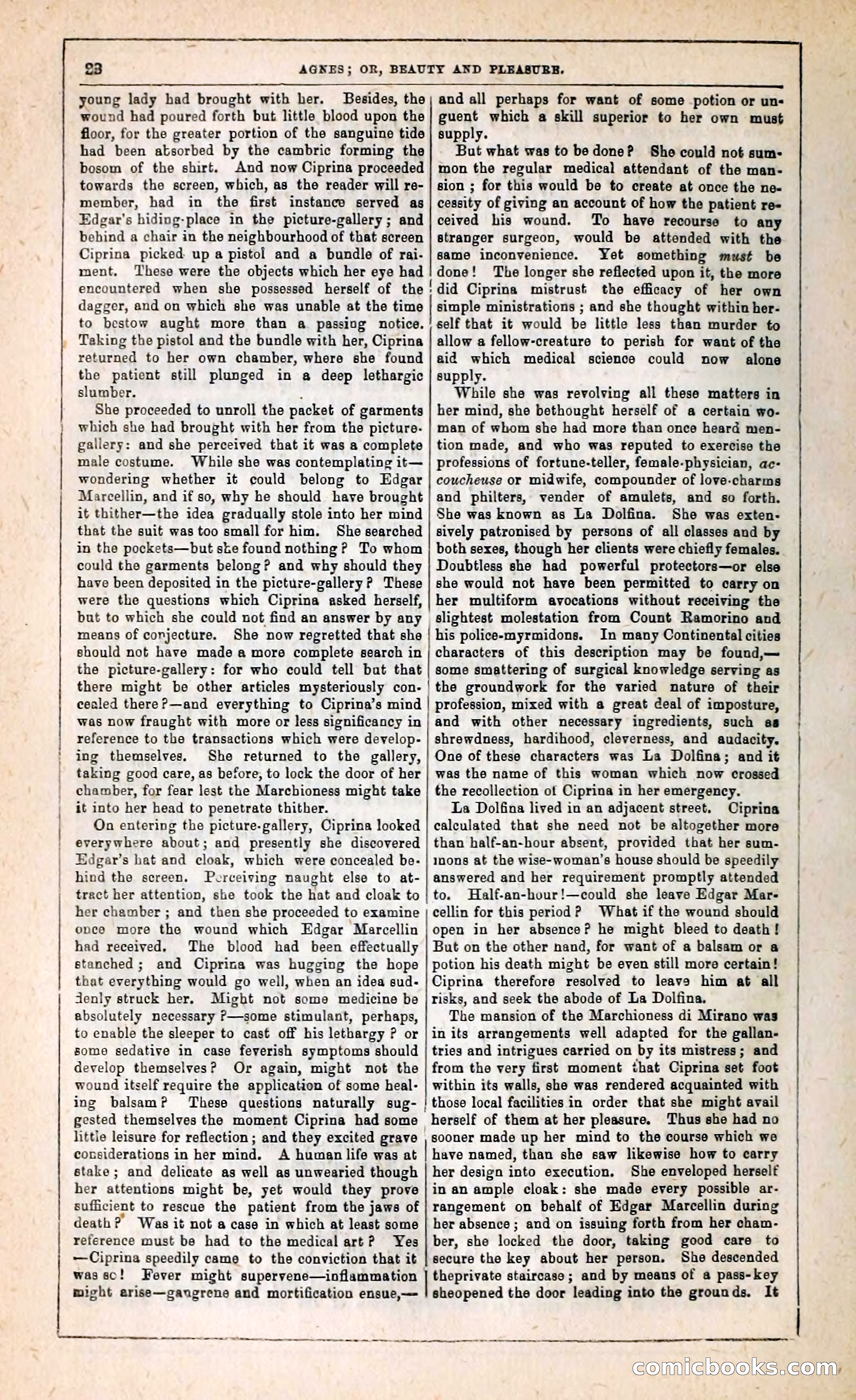 Agnes, or, Beauty and Pleasure — page 30 of 394