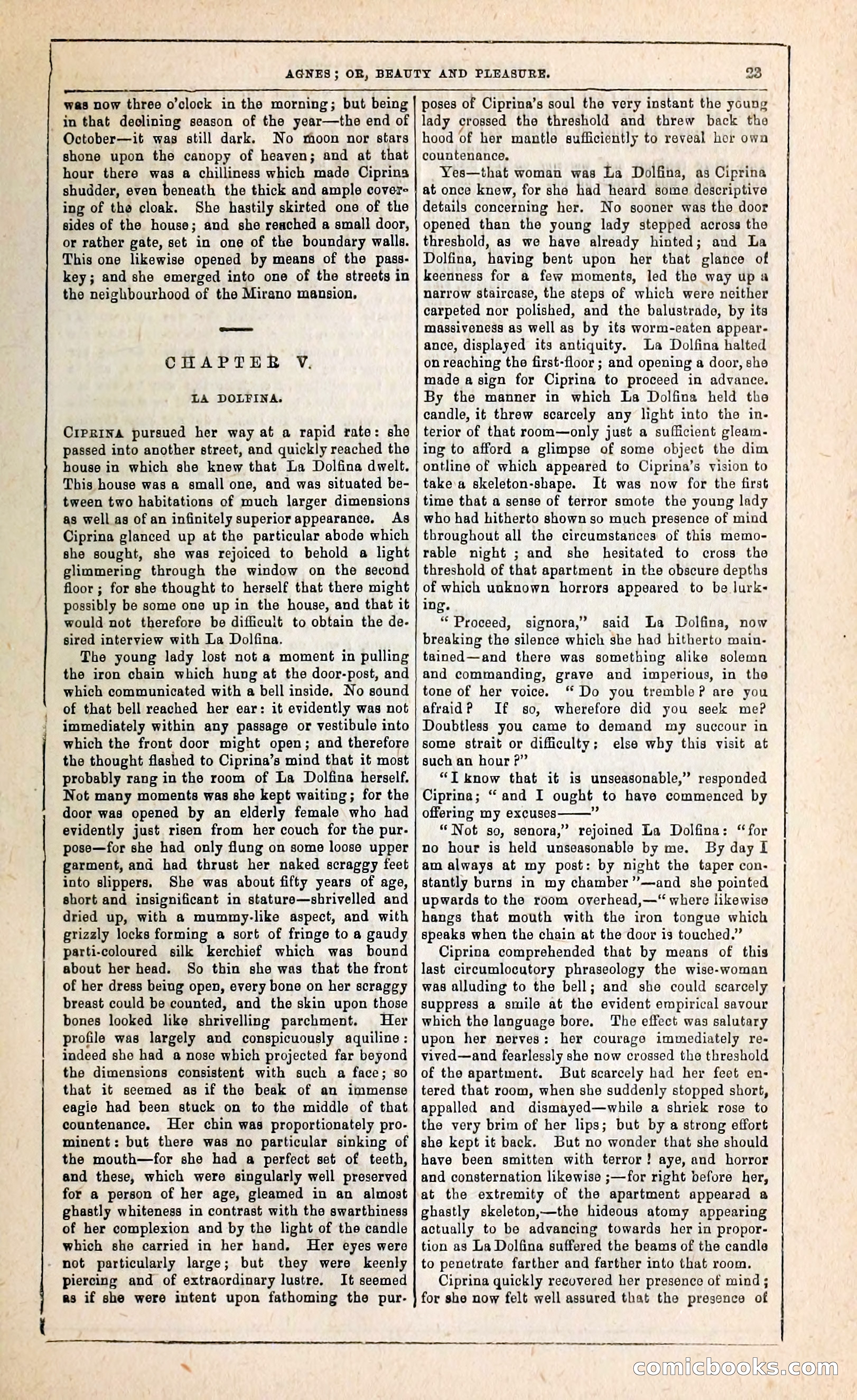 Agnes, or, Beauty and Pleasure — page 31 of 394
