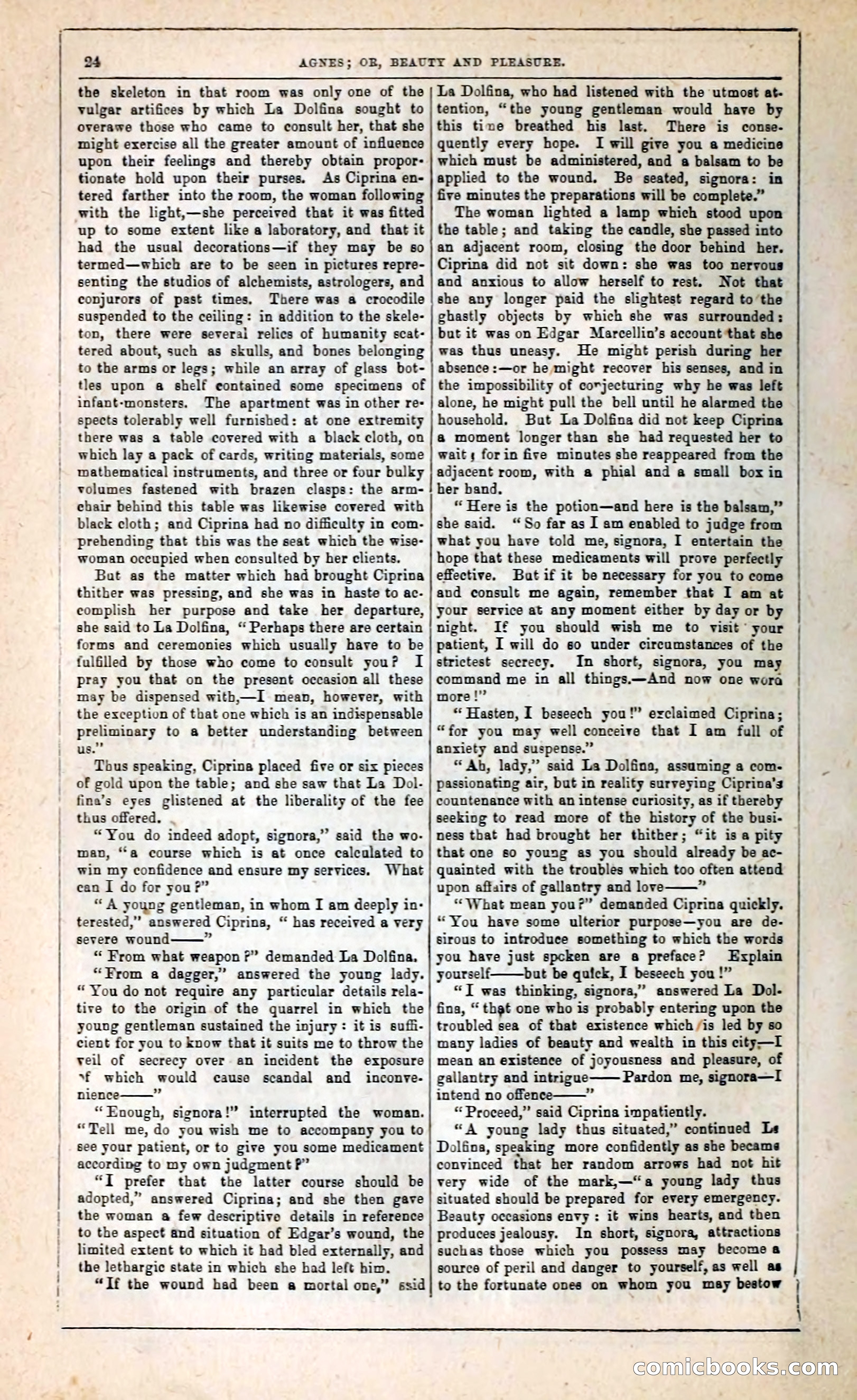 Agnes, or, Beauty and Pleasure — page 32 of 394