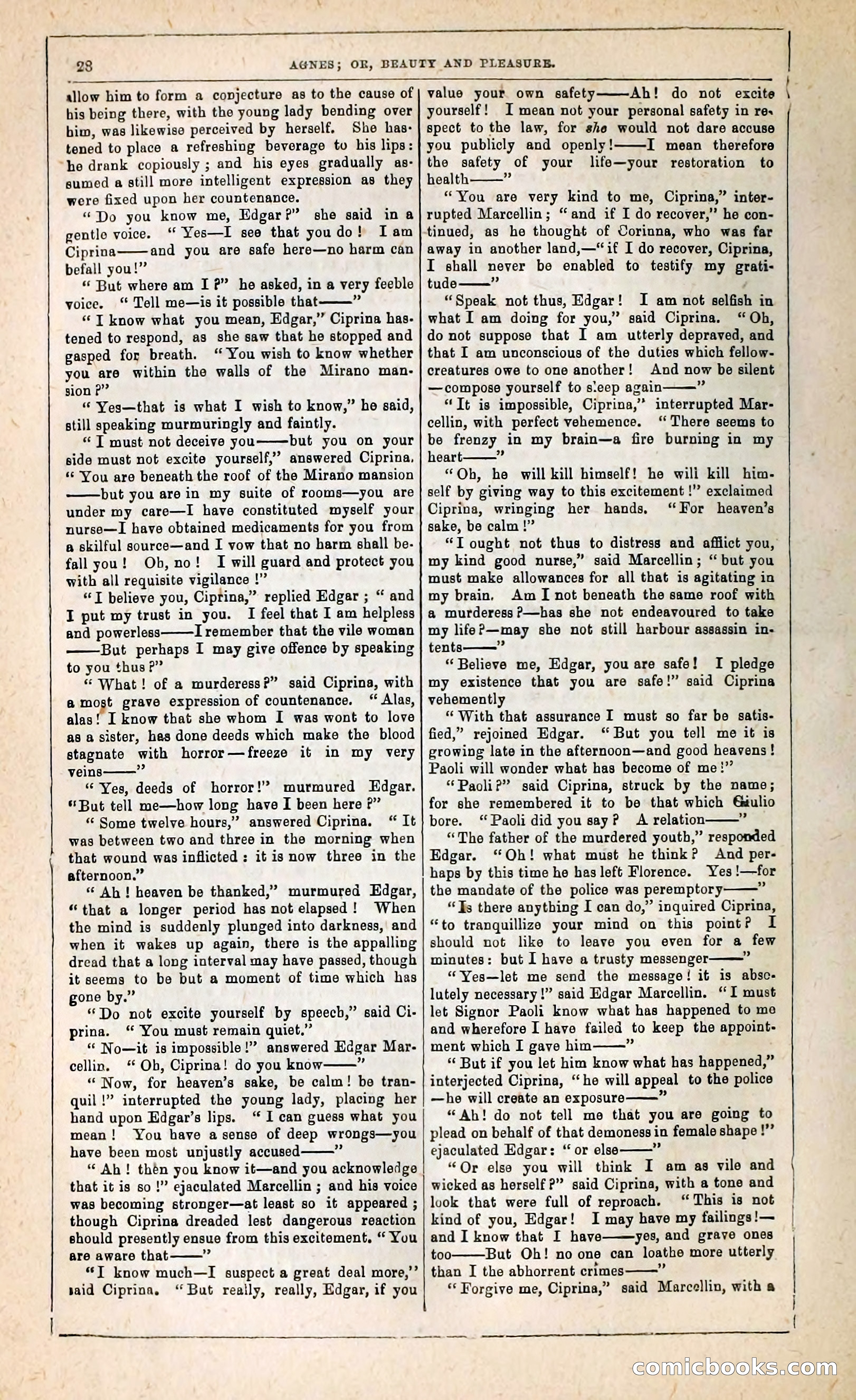 Agnes, or, Beauty and Pleasure — page 36 of 394