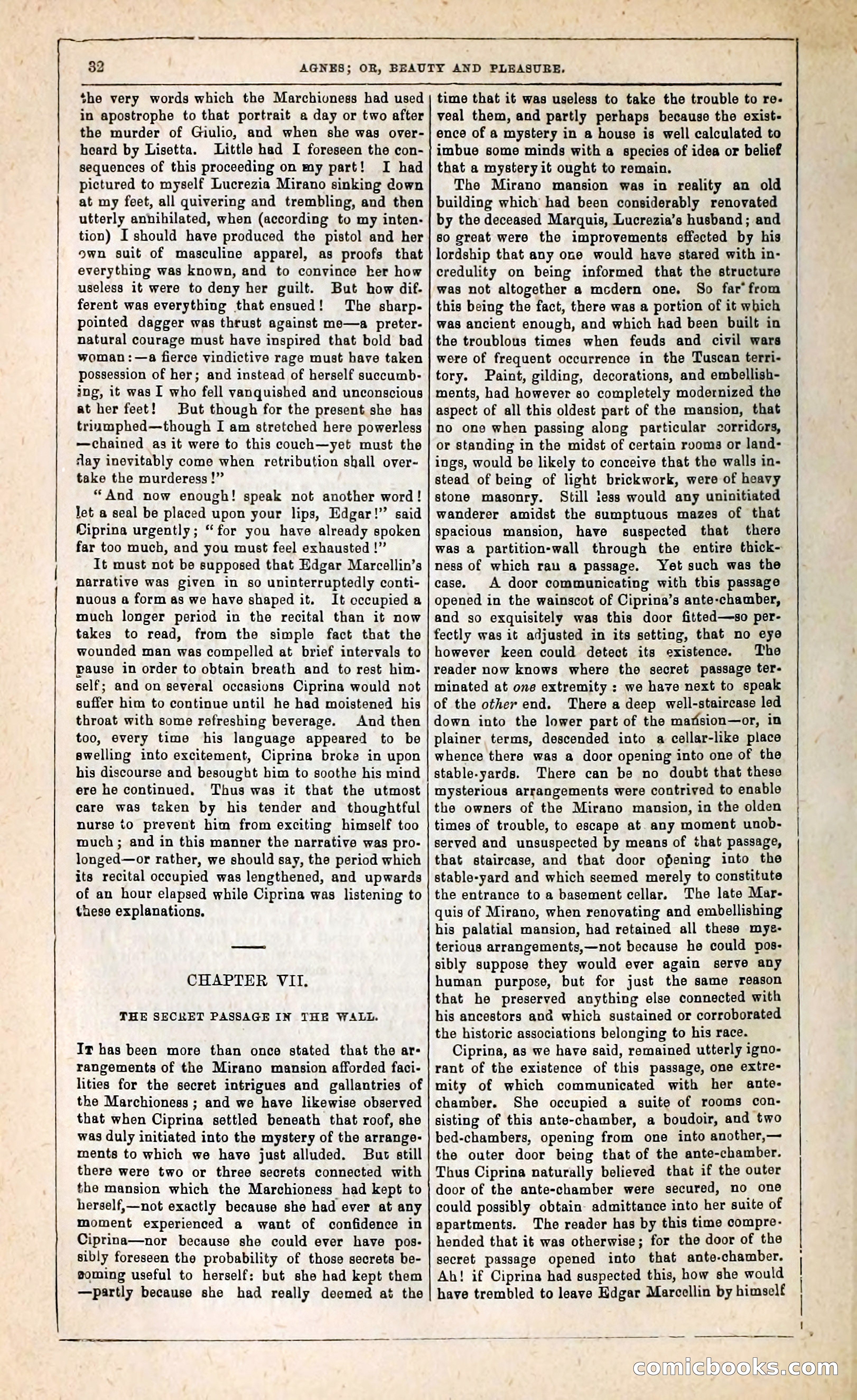 Agnes, or, Beauty and Pleasure — page 40 of 394