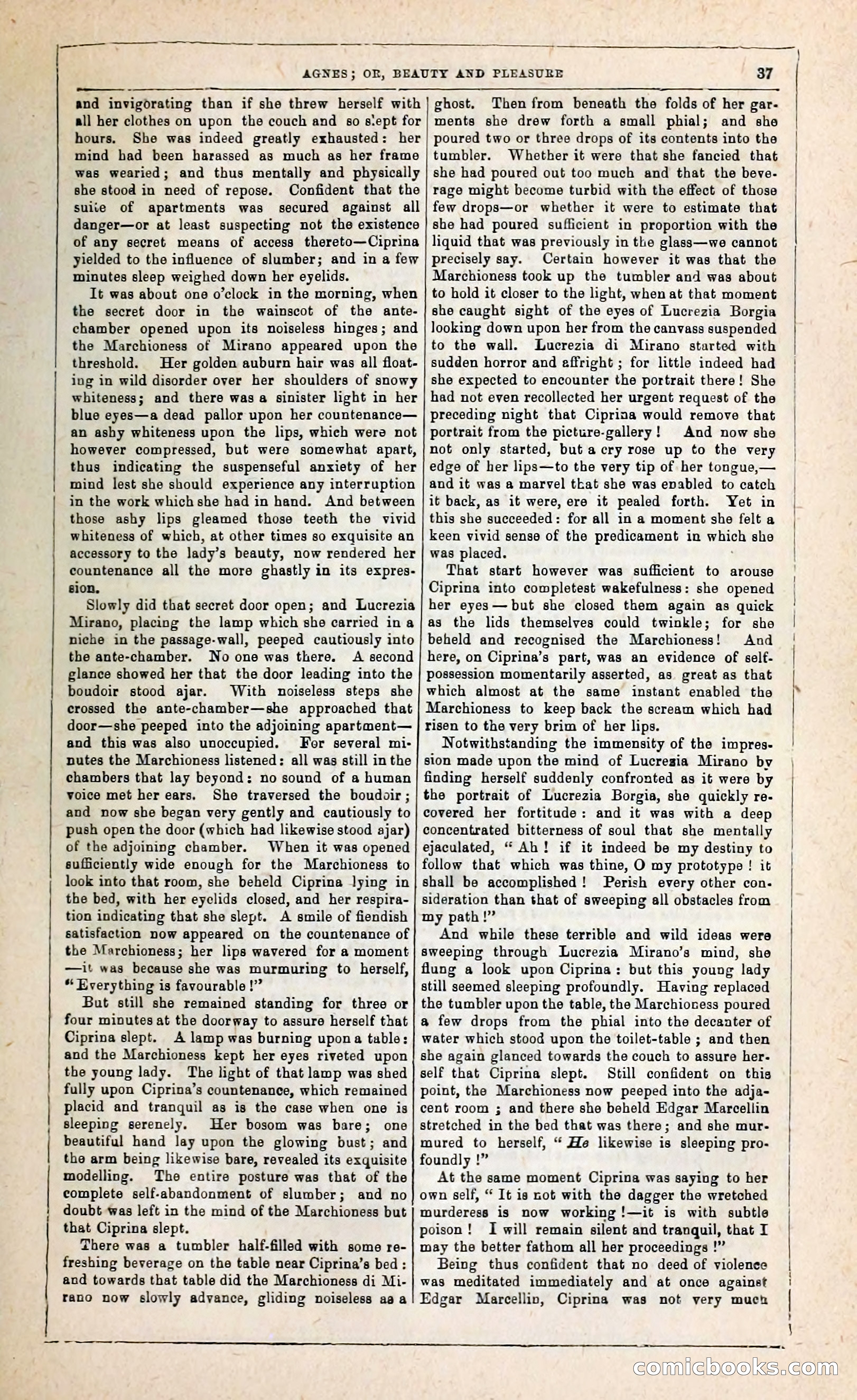 Agnes, or, Beauty and Pleasure — page 45 of 394