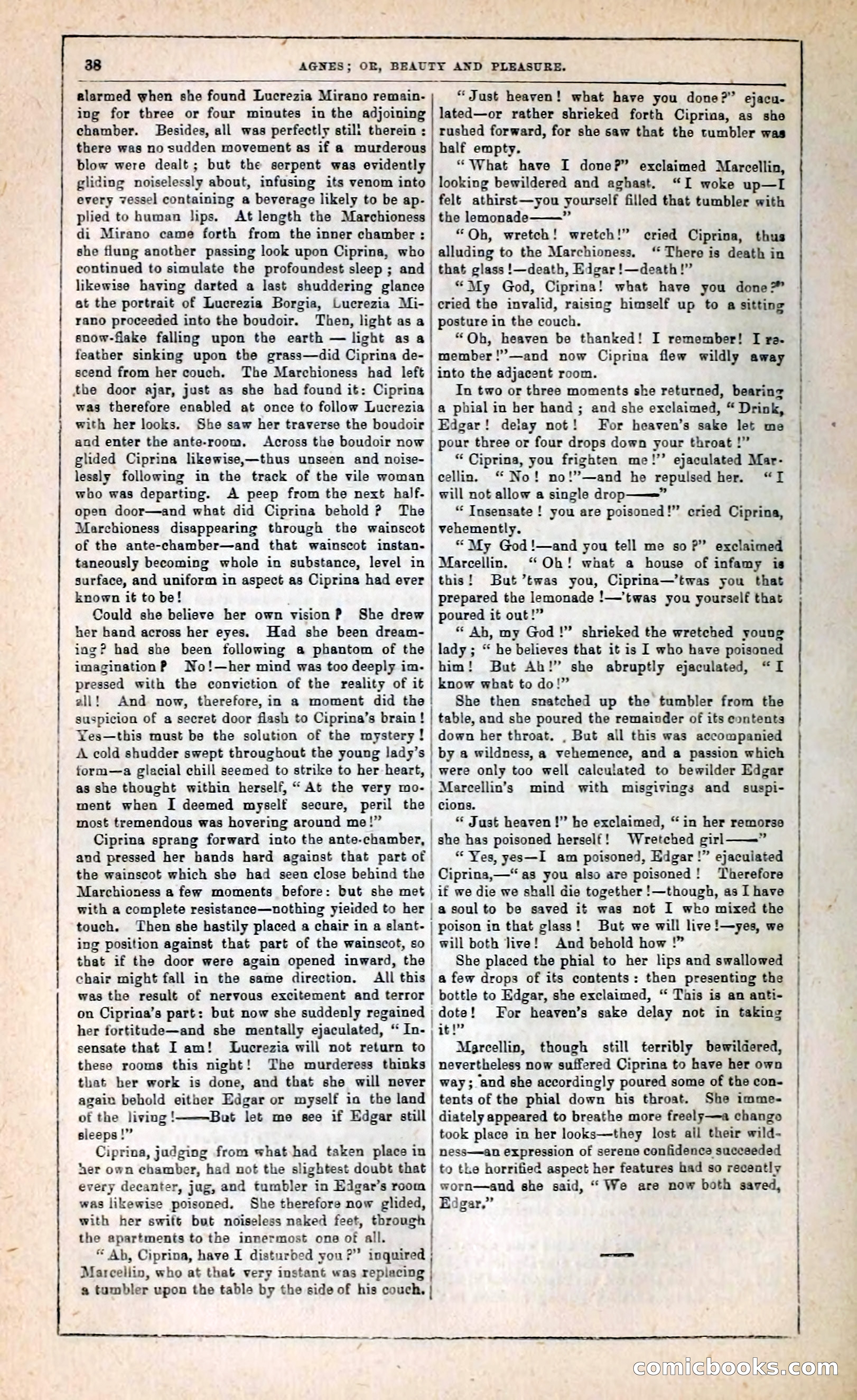 Agnes, or, Beauty and Pleasure — page 46 of 394