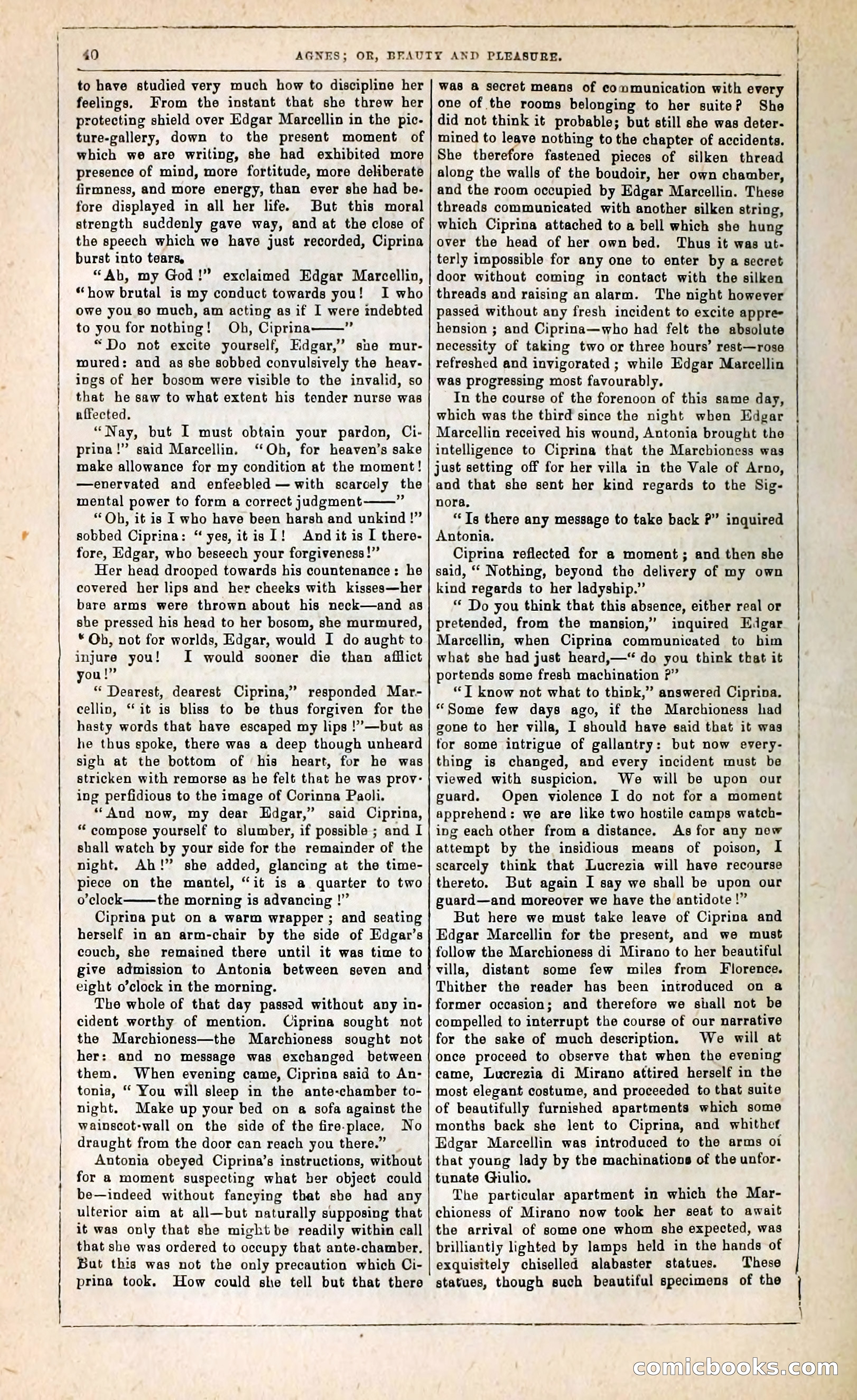 Agnes, or, Beauty and Pleasure — page 48 of 394
