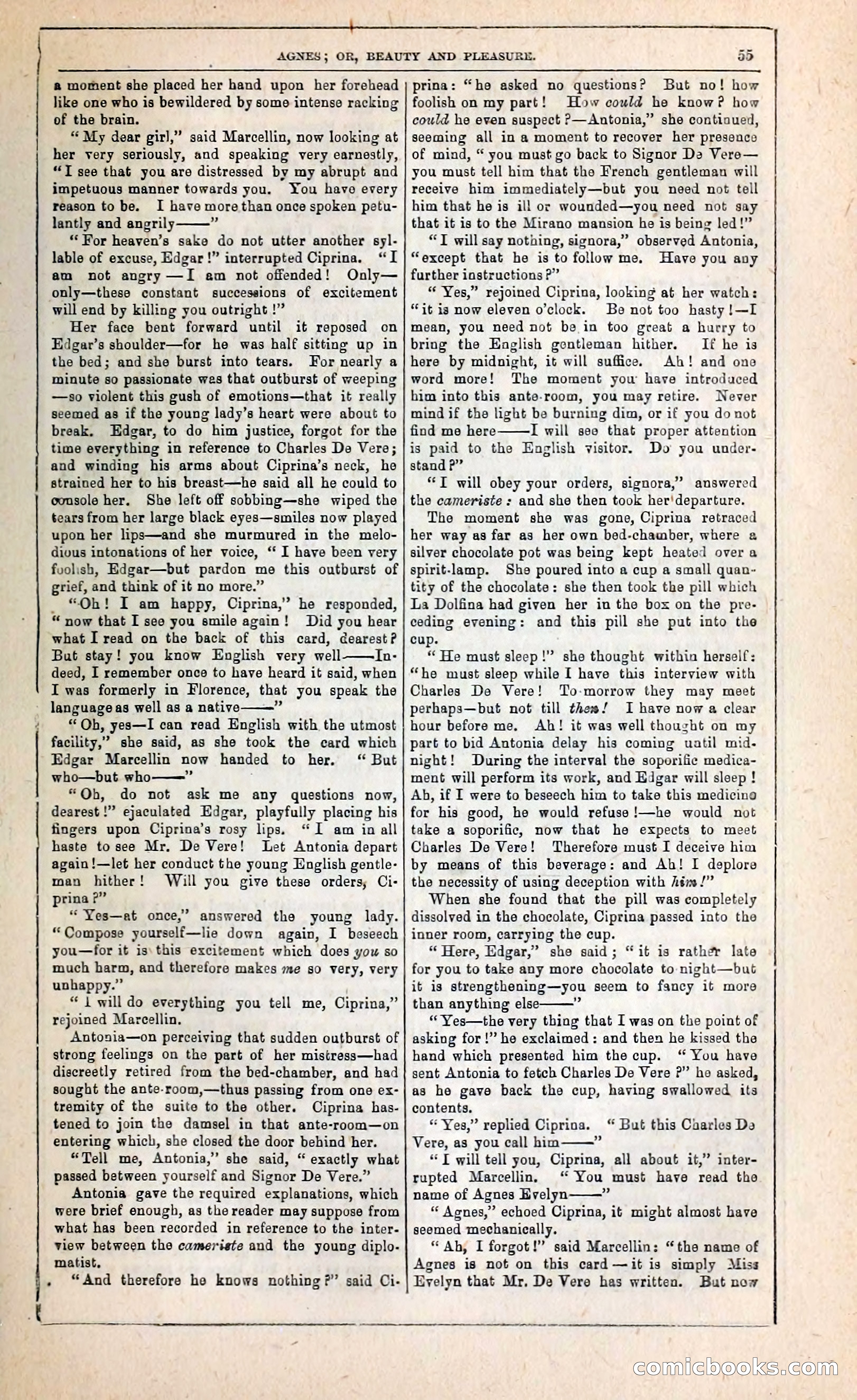 Agnes, or, Beauty and Pleasure — page 63 of 394