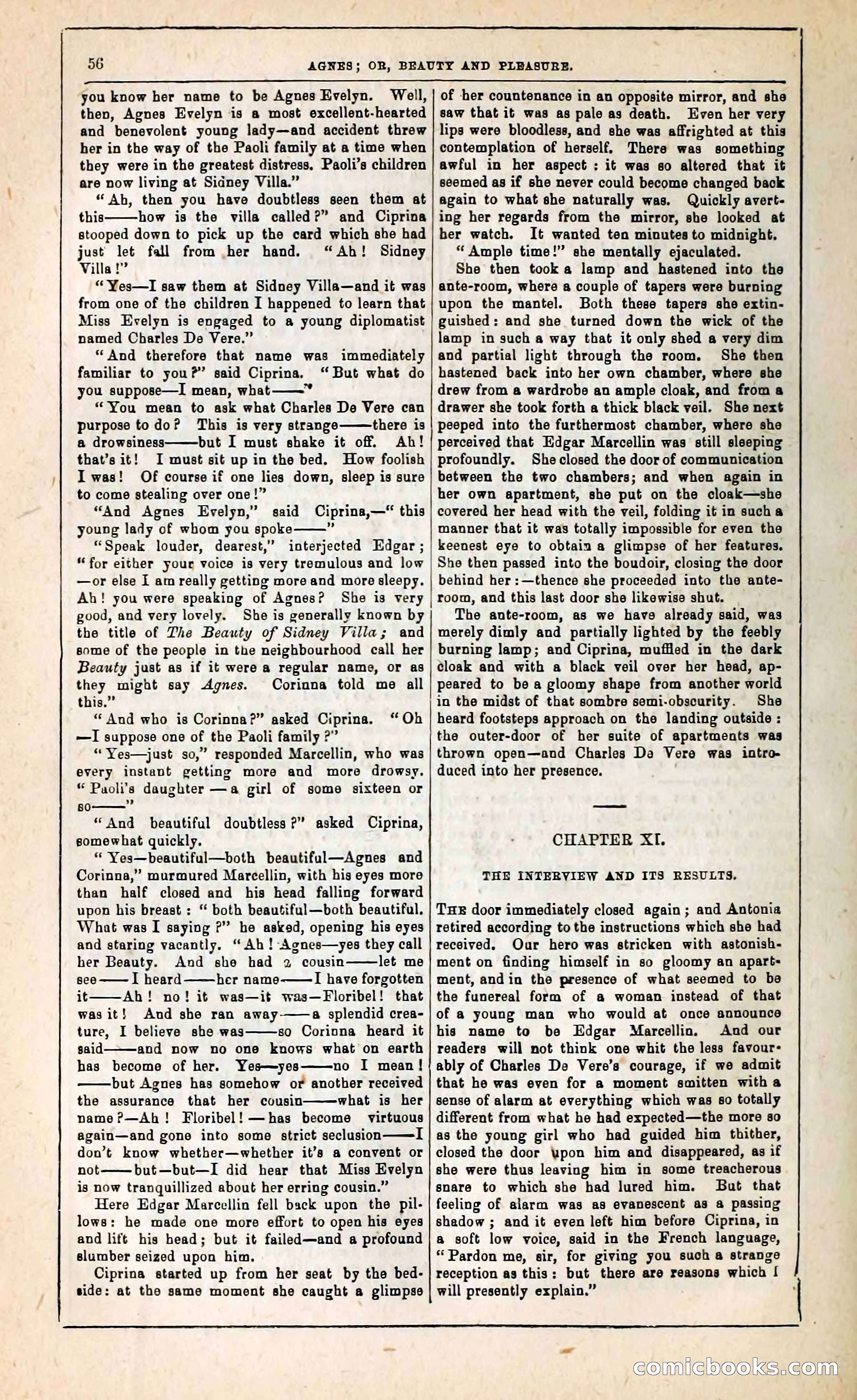Agnes, or, Beauty and Pleasure — page 64 of 394