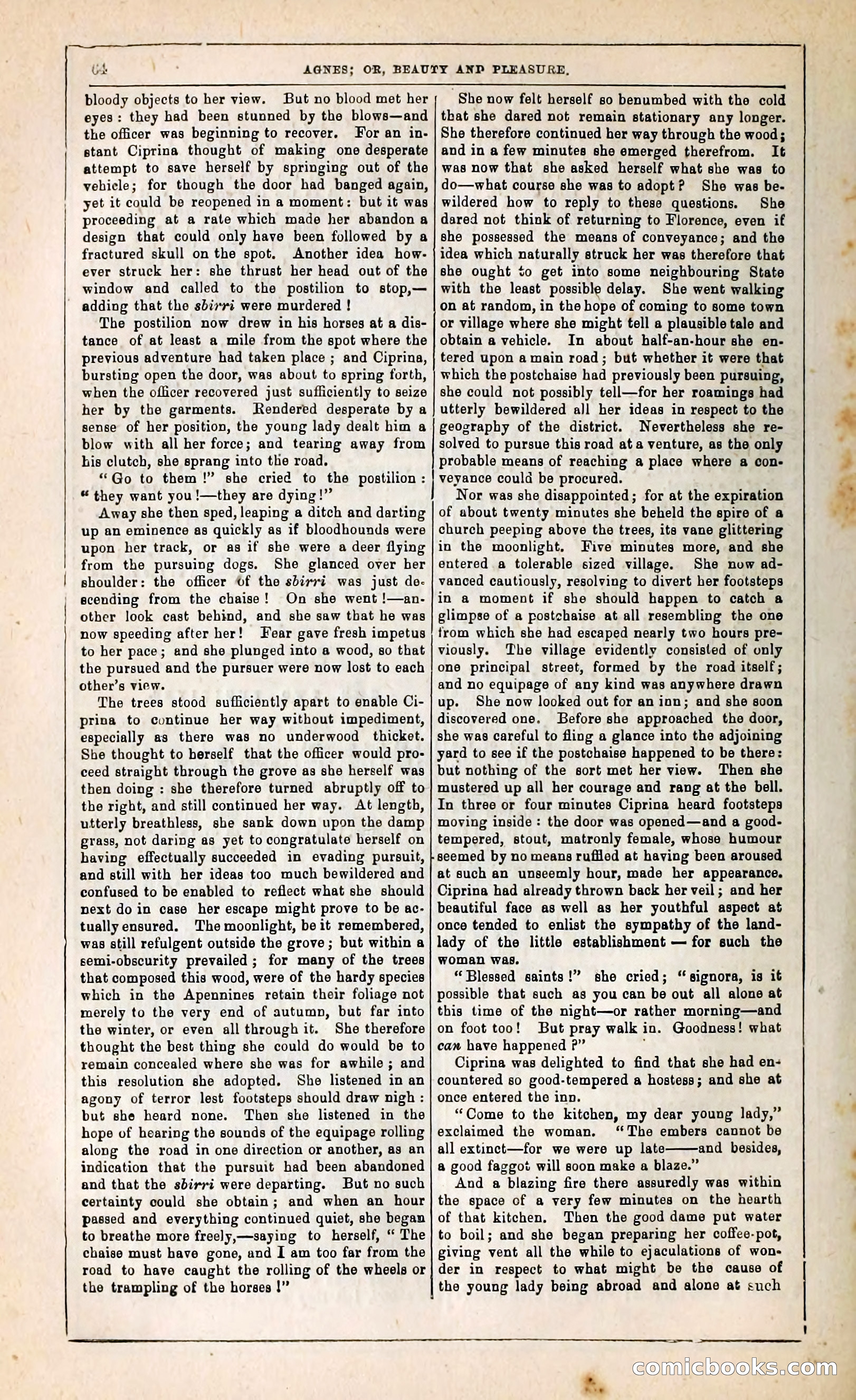 Agnes, or, Beauty and Pleasure — page 72 of 394
