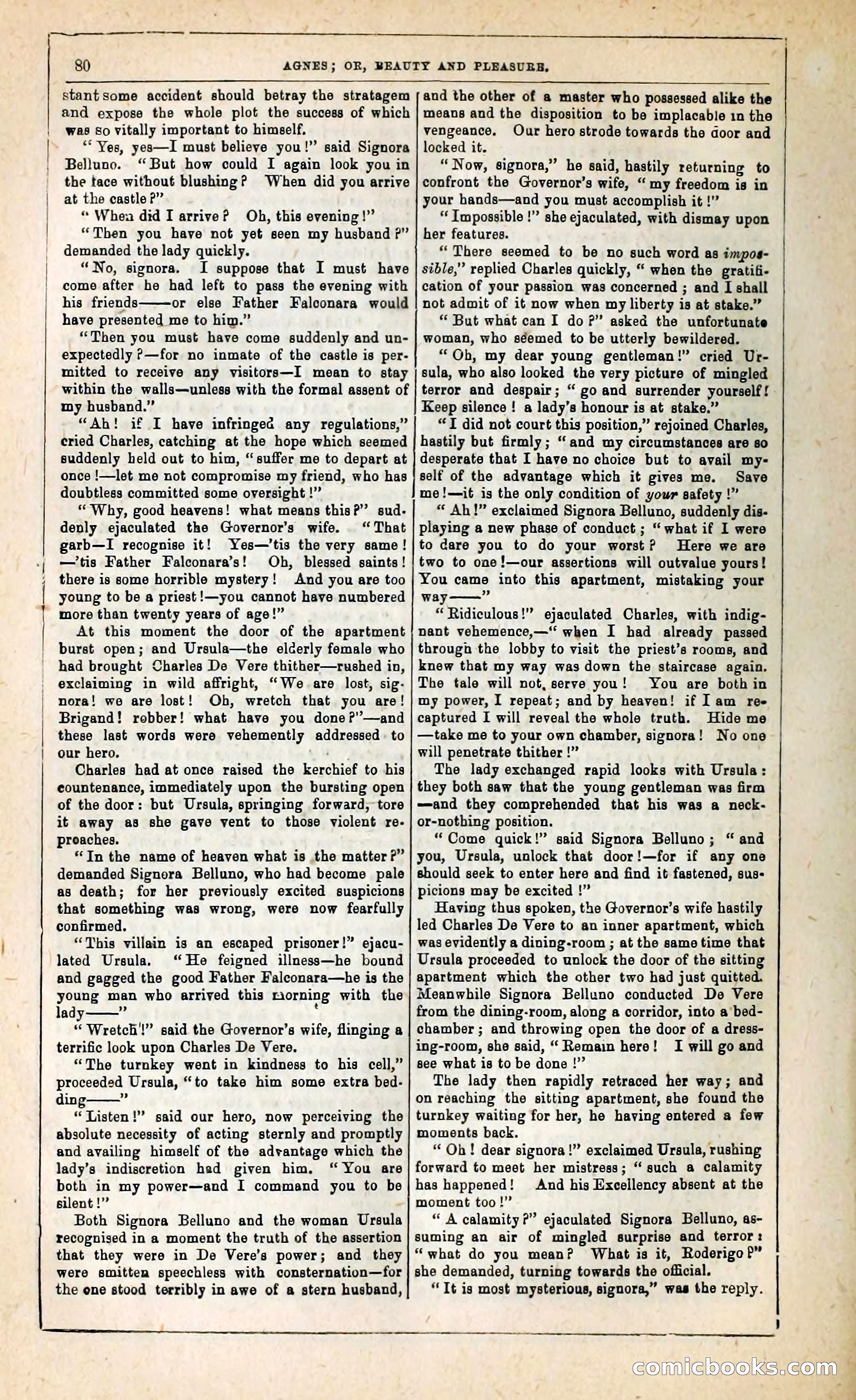 Agnes, or, Beauty and Pleasure — page 88 of 394