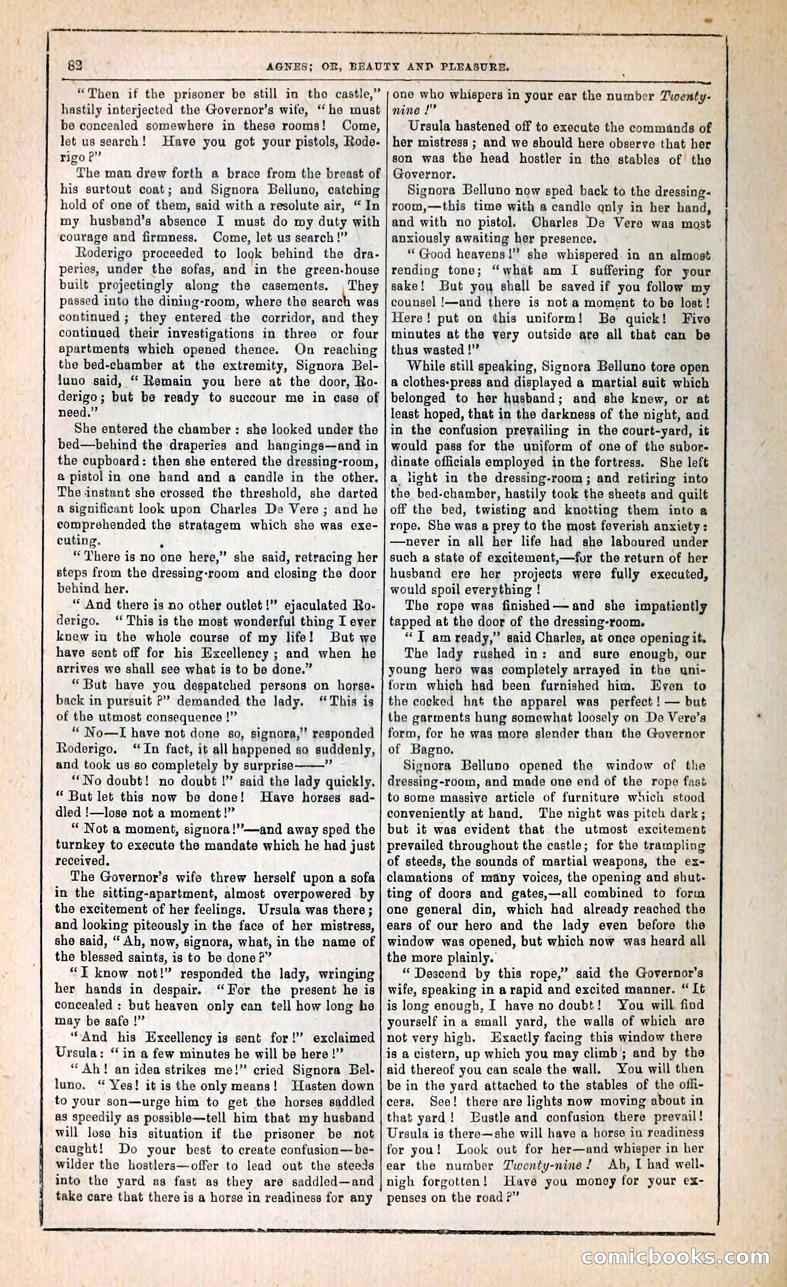 Agnes, or, Beauty and Pleasure — page 90 of 394