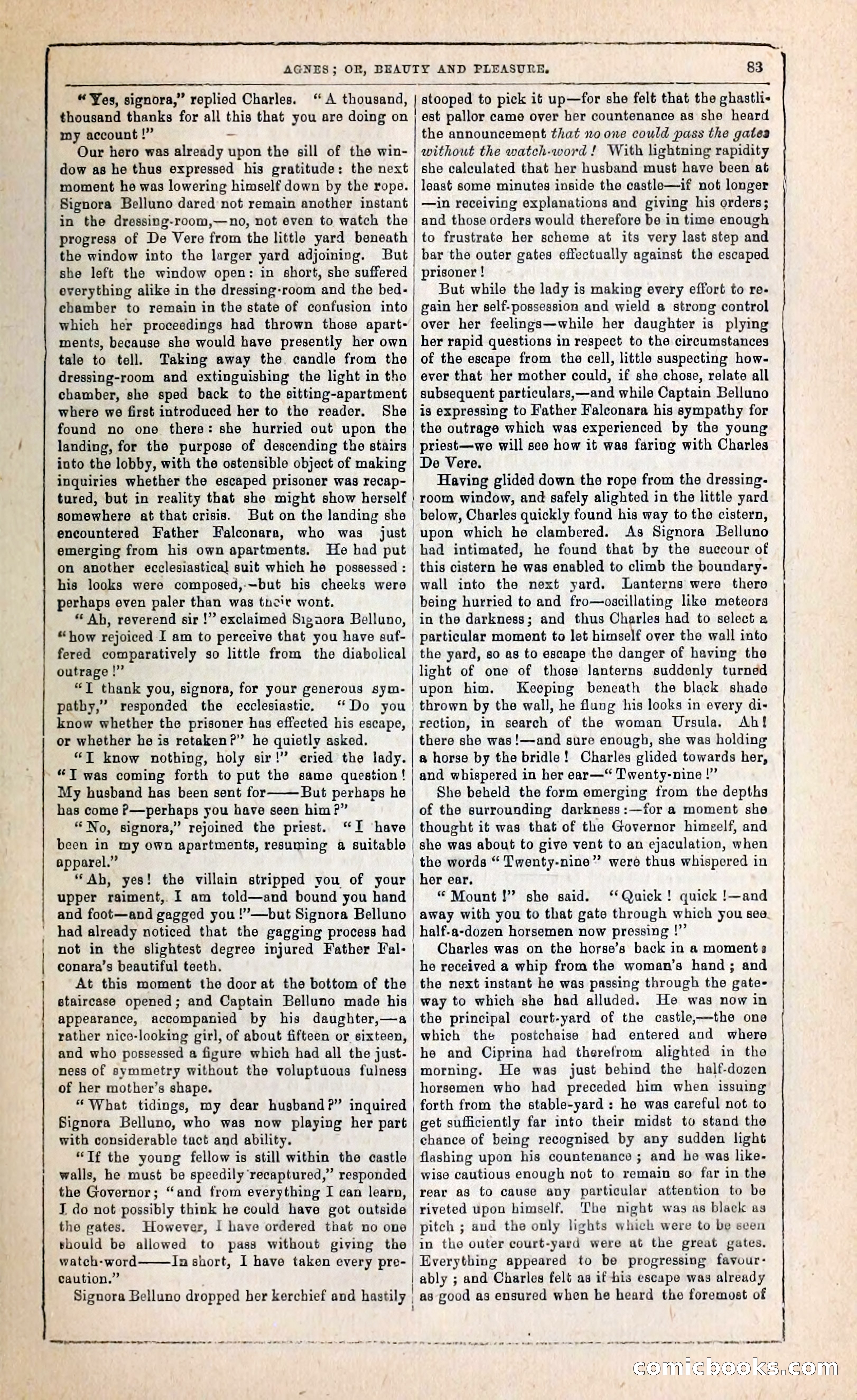 Agnes, or, Beauty and Pleasure — page 91 of 394