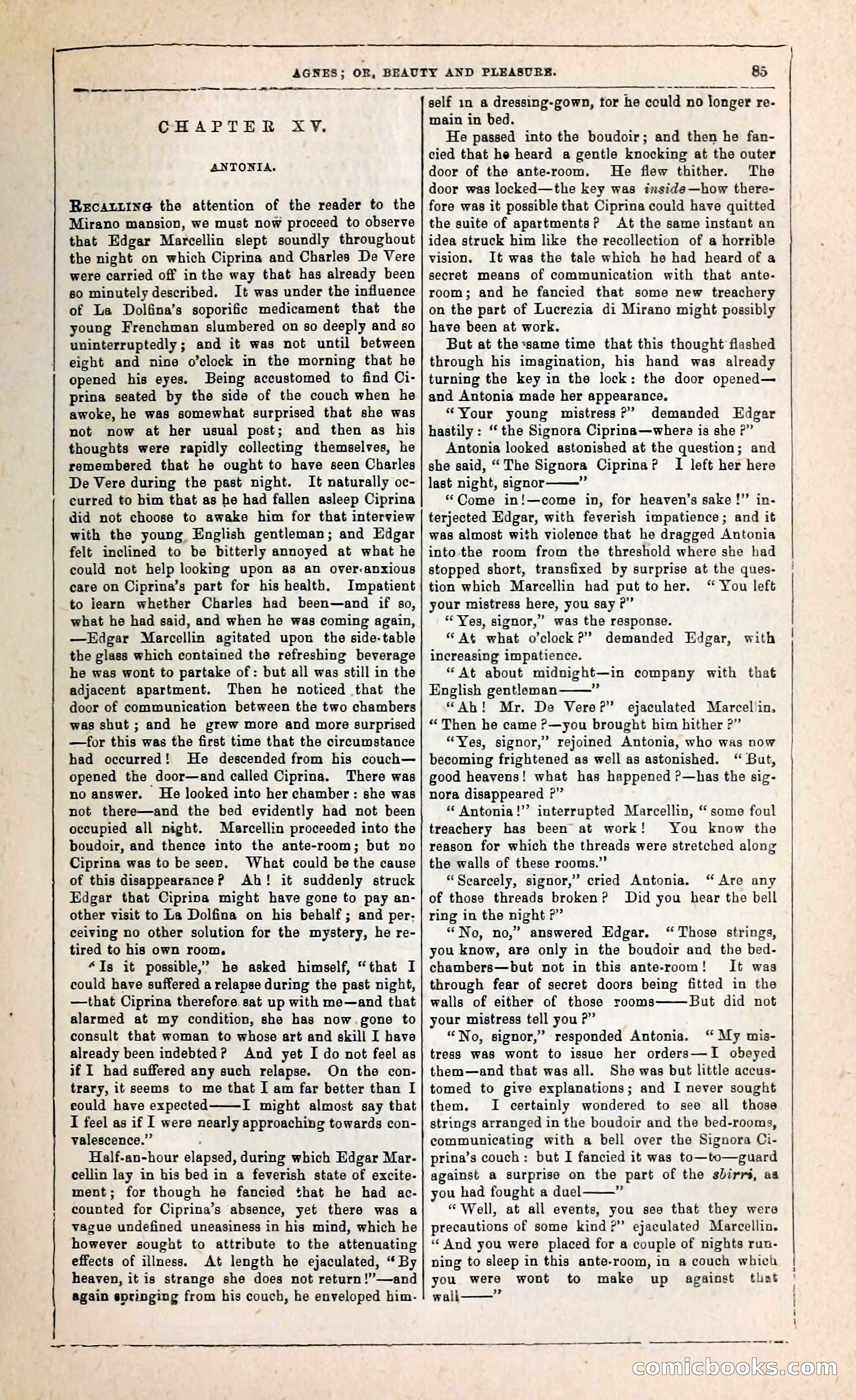 Agnes, or, Beauty and Pleasure — page 93 of 394