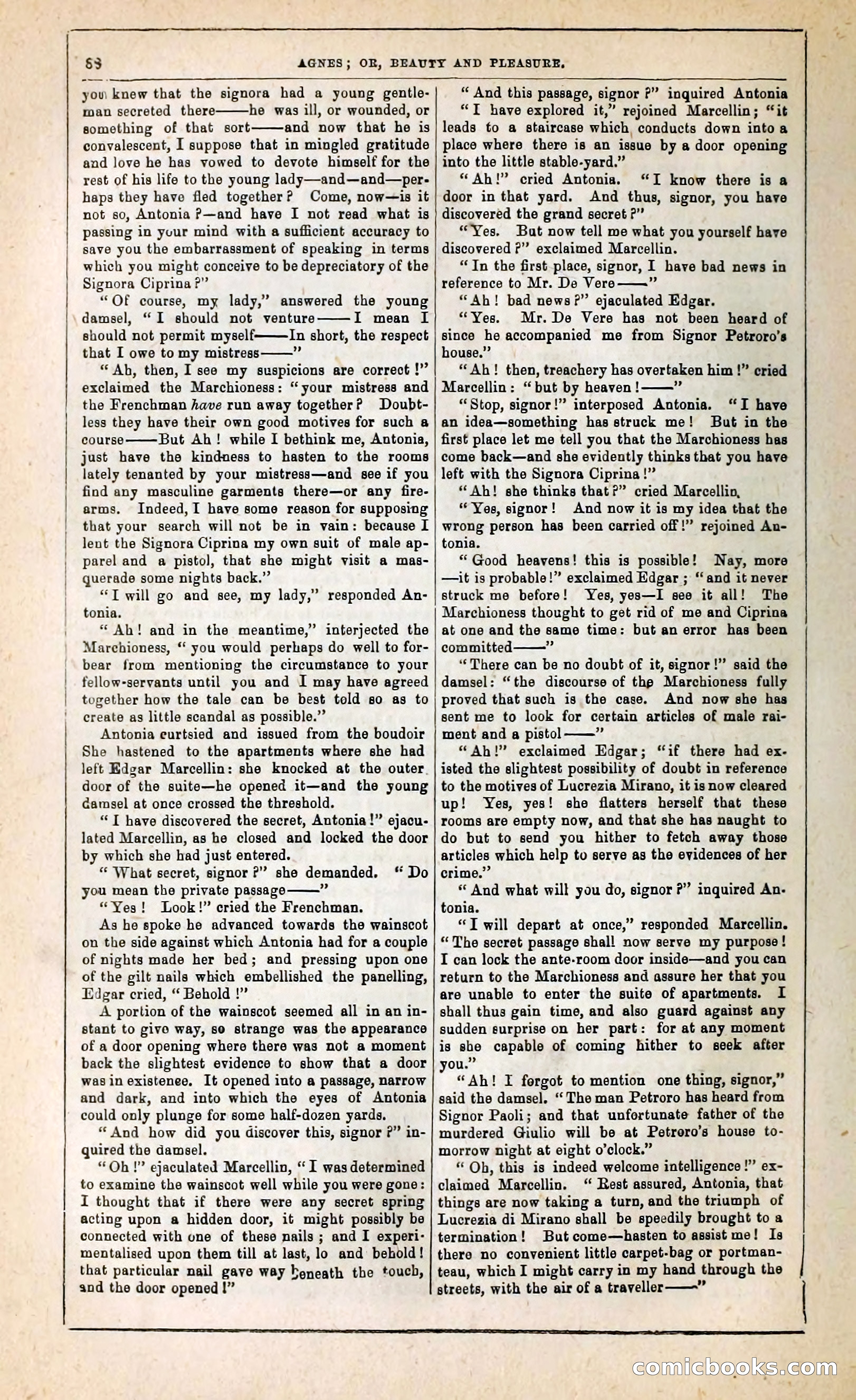 Agnes, or, Beauty and Pleasure — page 96 of 394