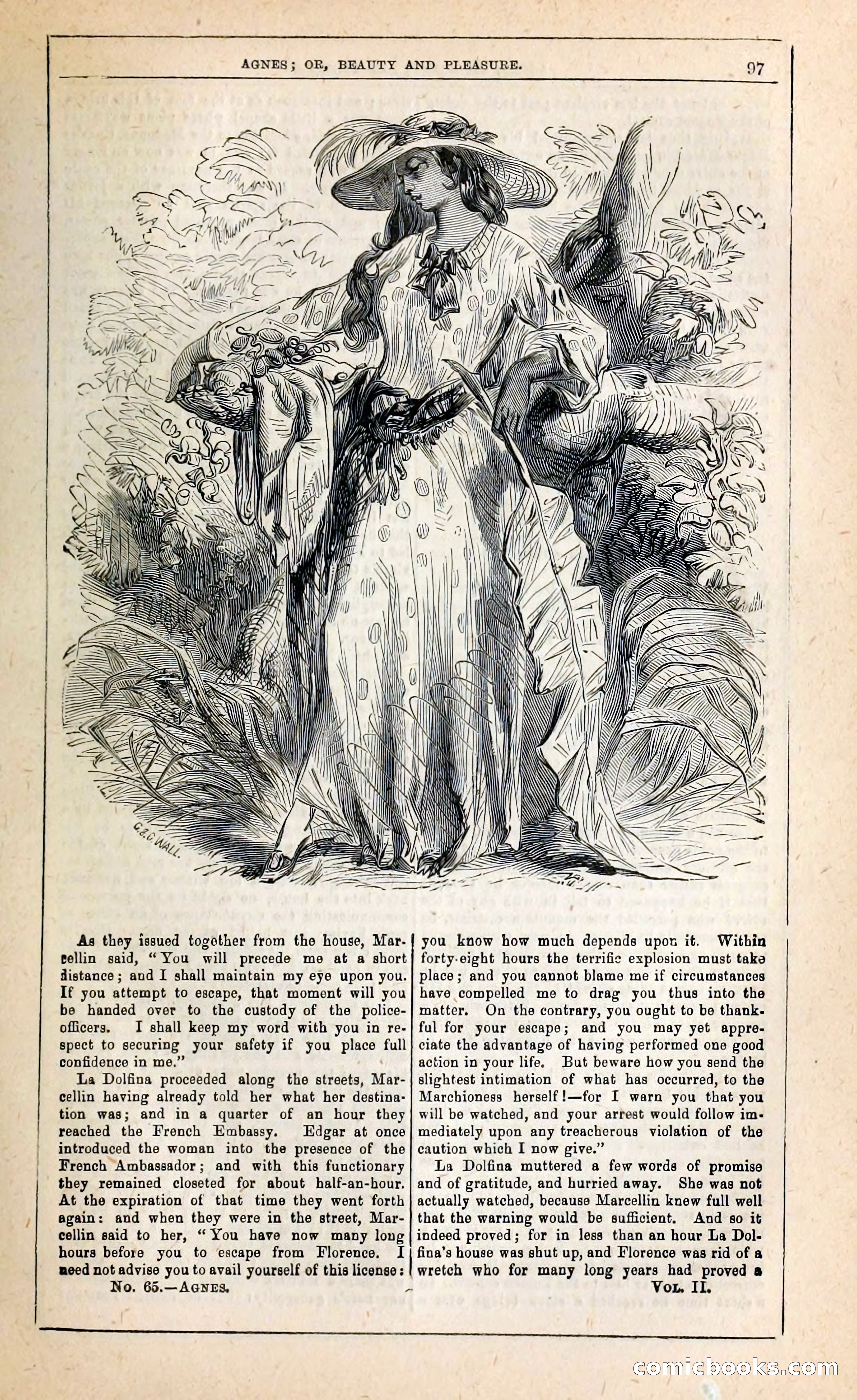 Agnes, or, Beauty and Pleasure — page 105 of 394