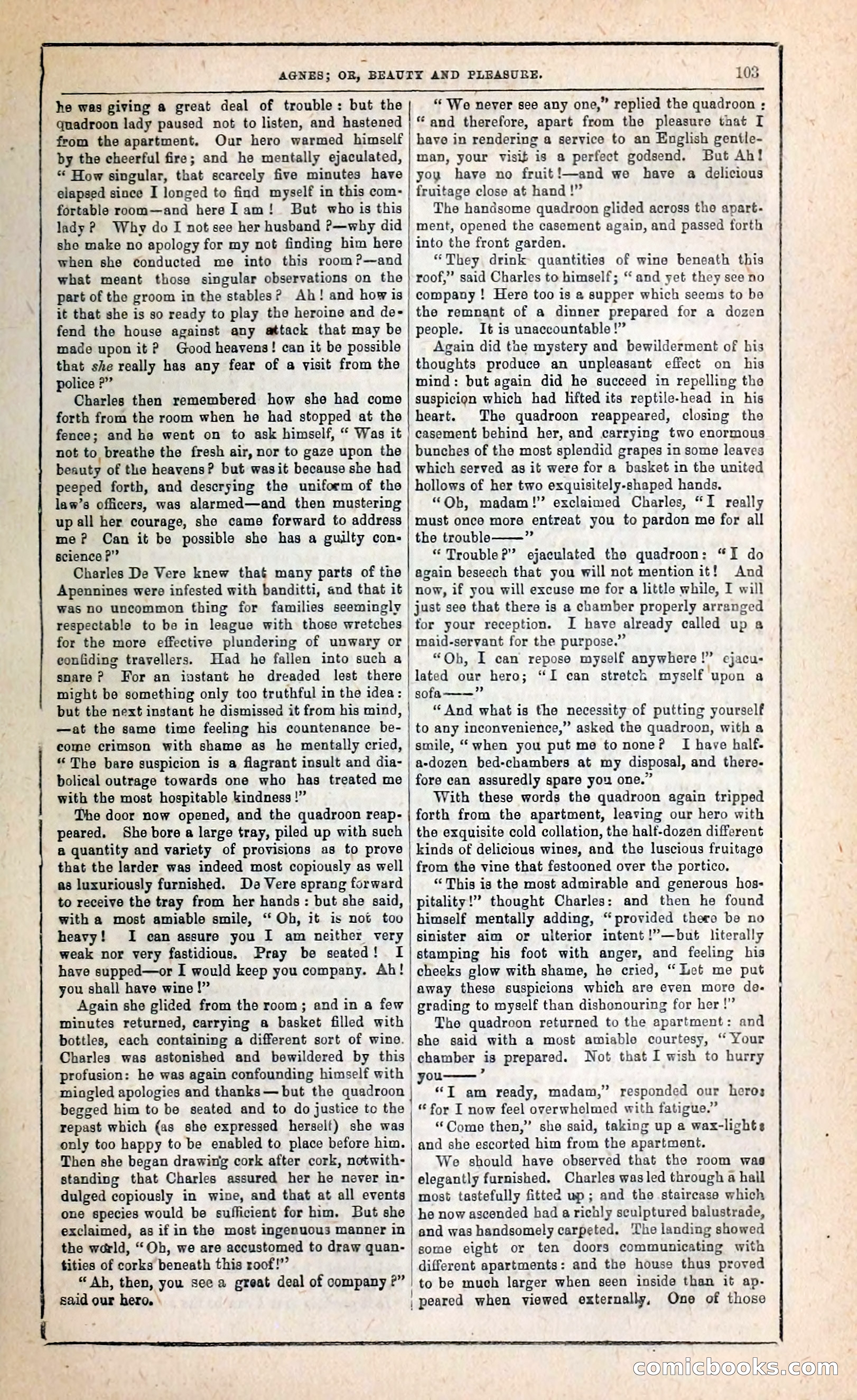 Agnes, or, Beauty and Pleasure — page 111 of 394