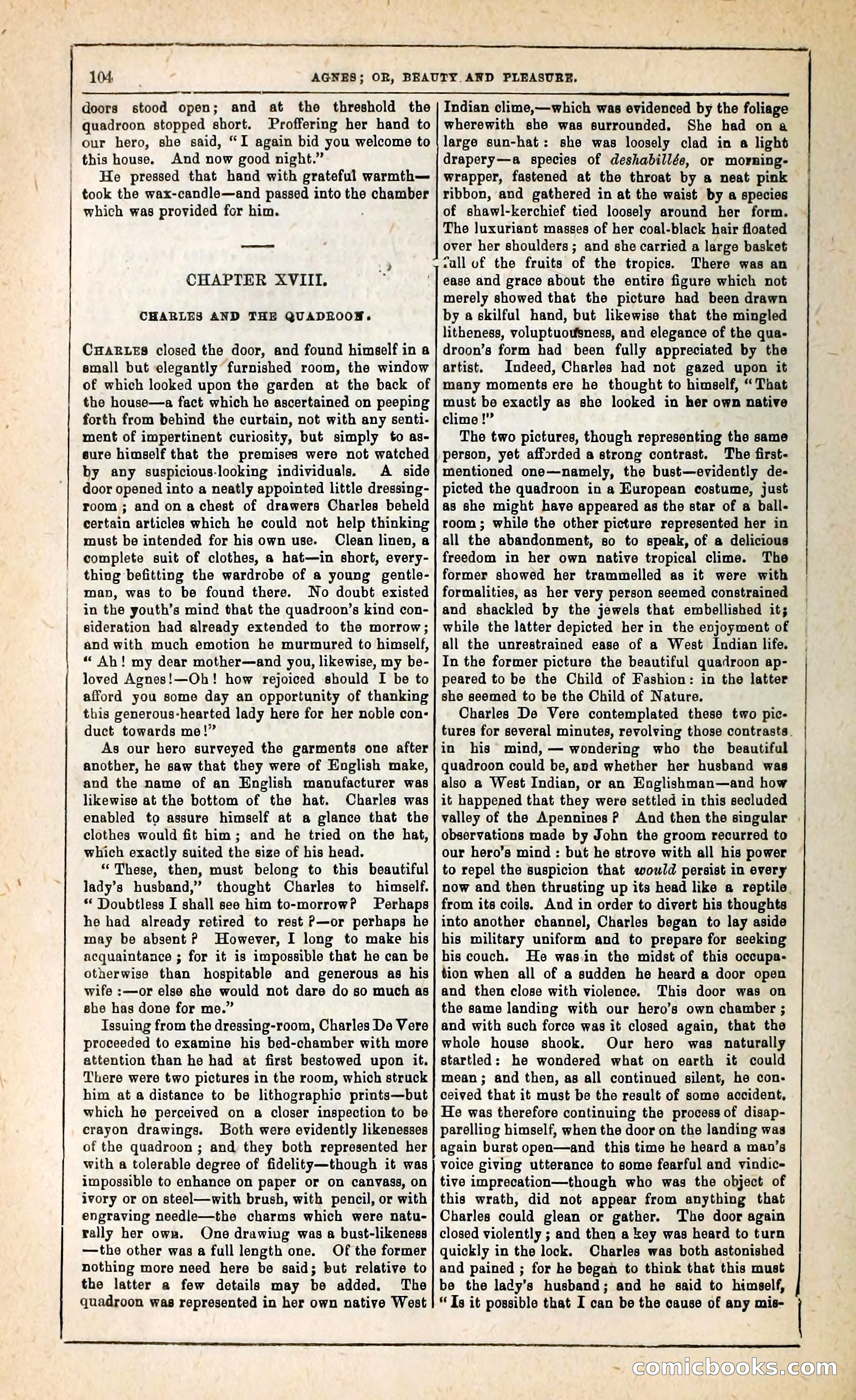 Agnes, or, Beauty and Pleasure — page 112 of 394