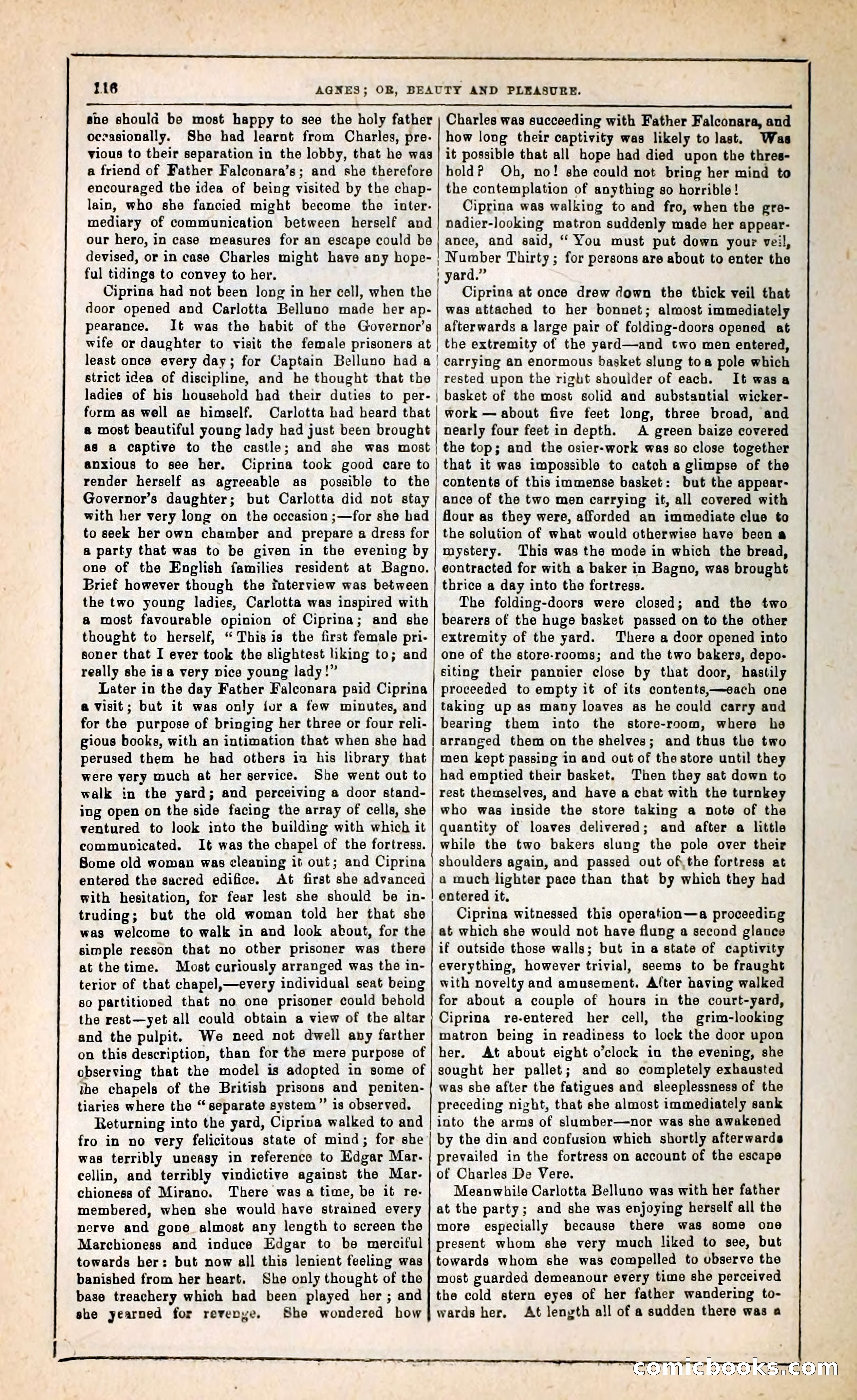 Agnes, or, Beauty and Pleasure — page 124 of 394