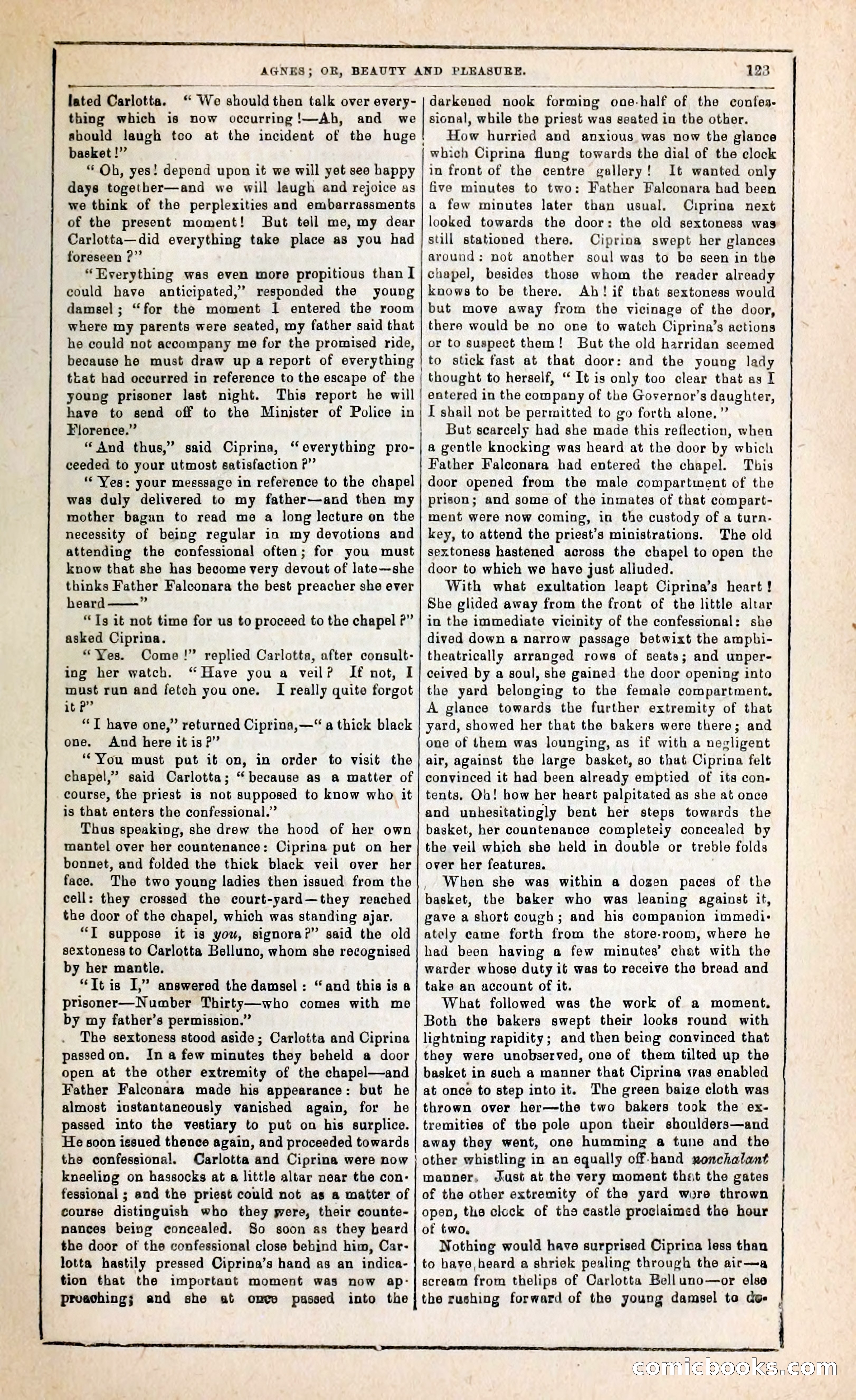 Agnes, or, Beauty and Pleasure — page 131 of 394