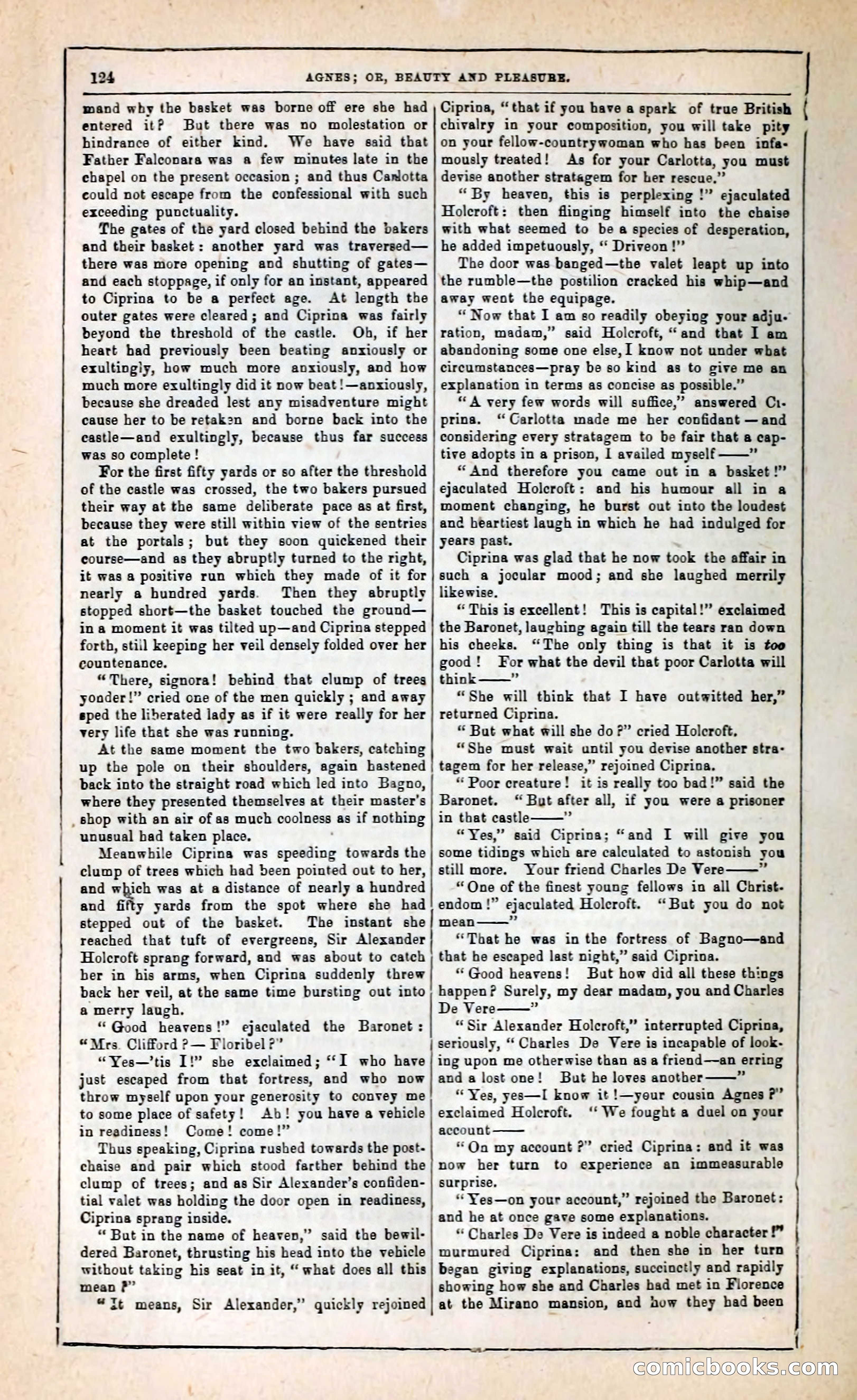 Agnes, or, Beauty and Pleasure — page 132 of 394
