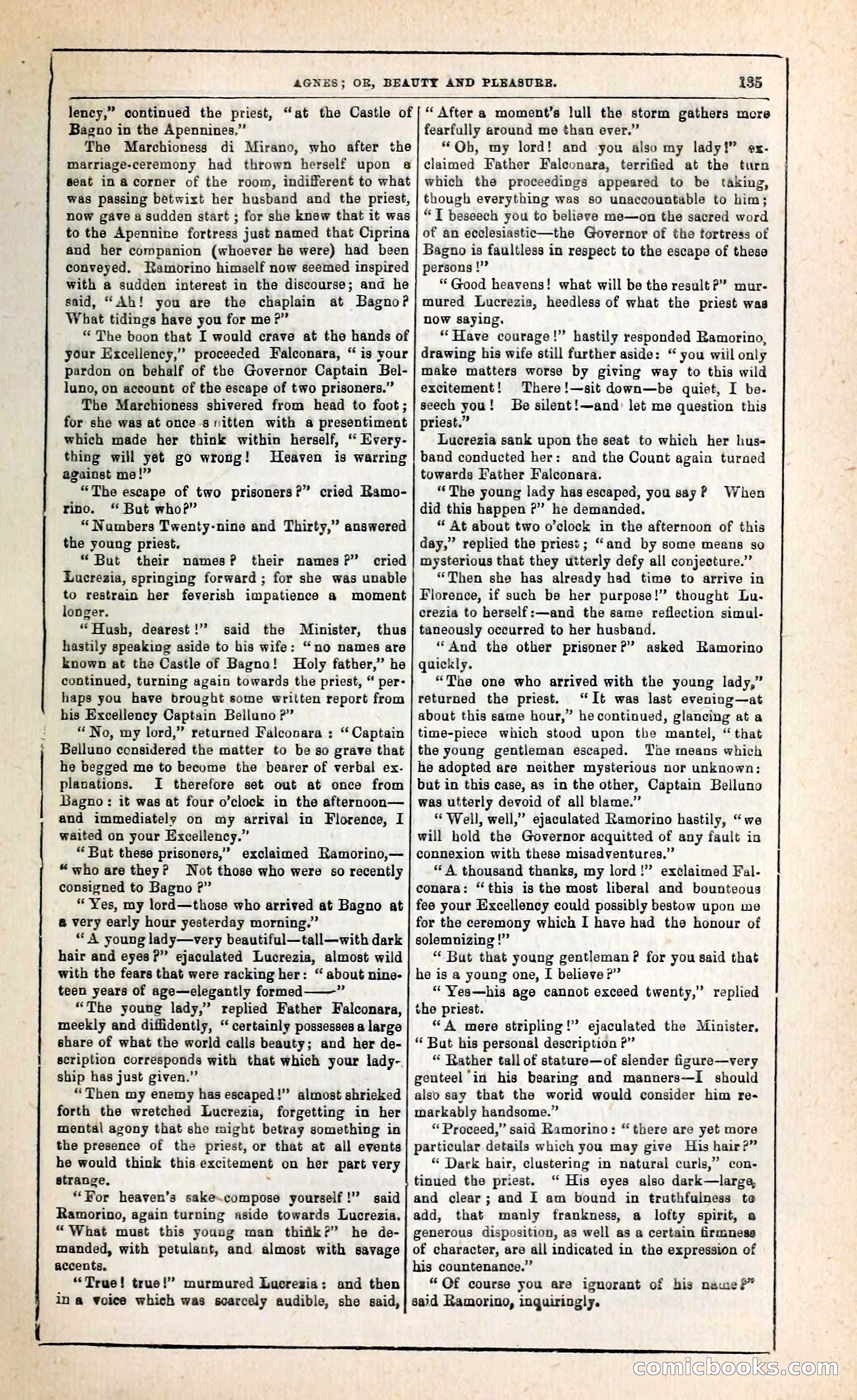 Agnes, or, Beauty and Pleasure — page 143 of 394
