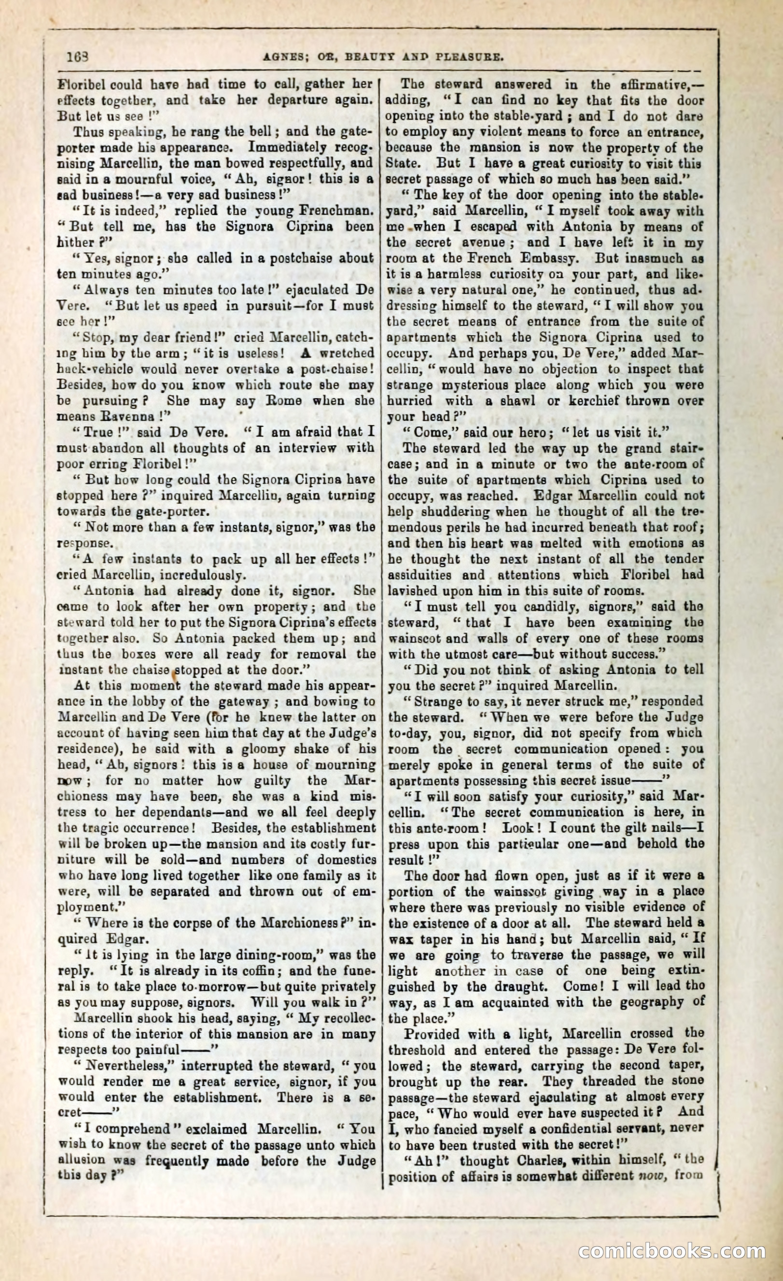 Agnes, or, Beauty and Pleasure — page 176 of 394