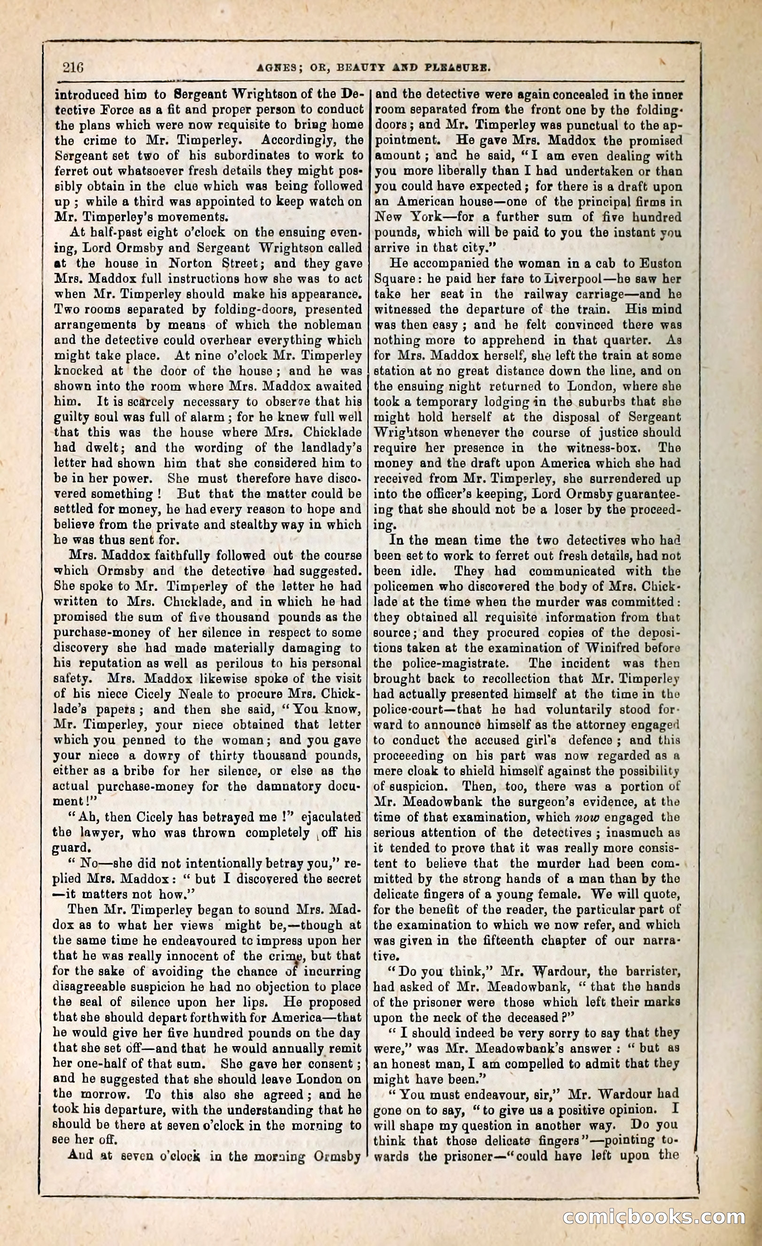 Agnes, or, Beauty and Pleasure — page 224 of 394