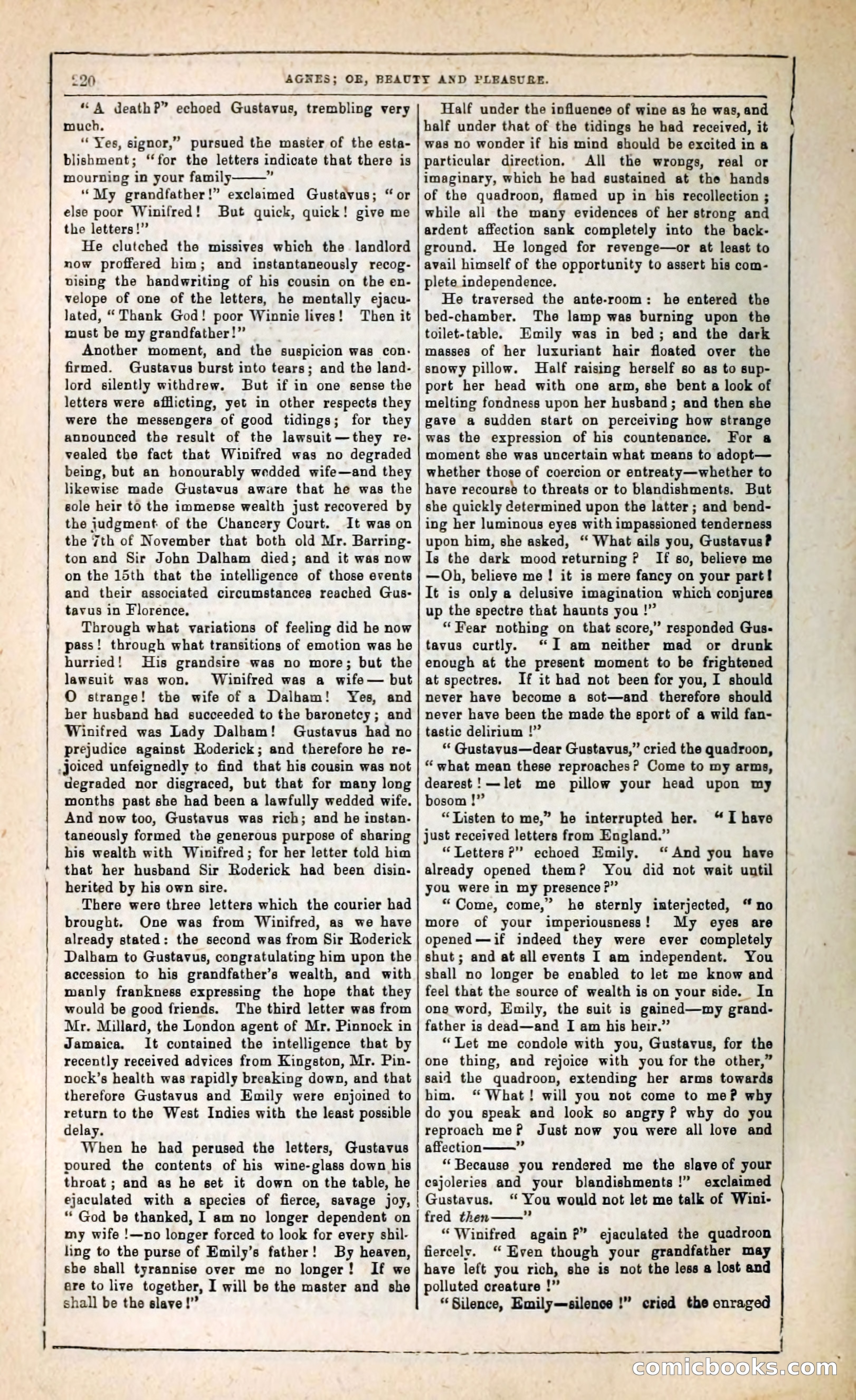 Agnes, or, Beauty and Pleasure — page 228 of 394