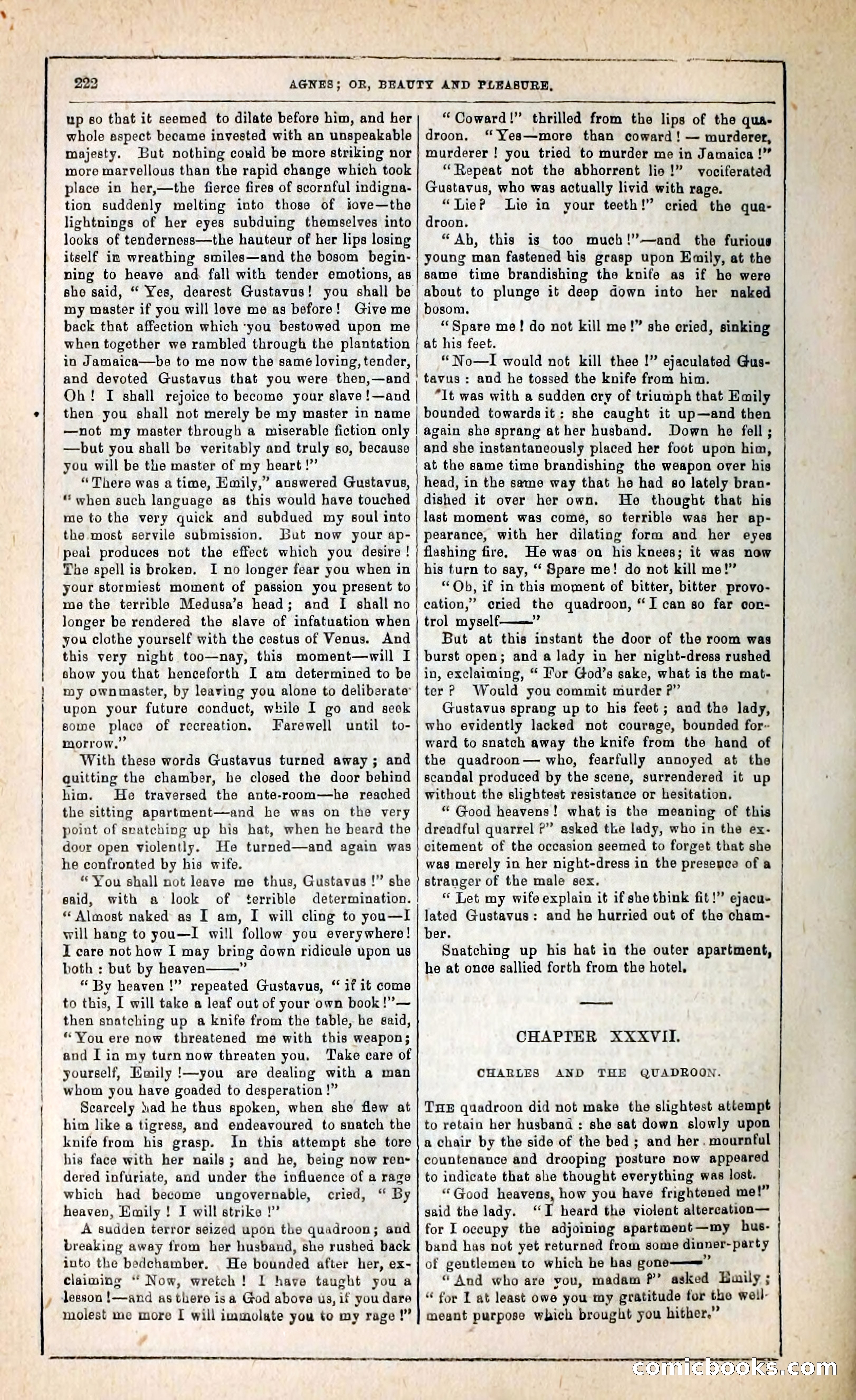 Agnes, or, Beauty and Pleasure — page 230 of 394