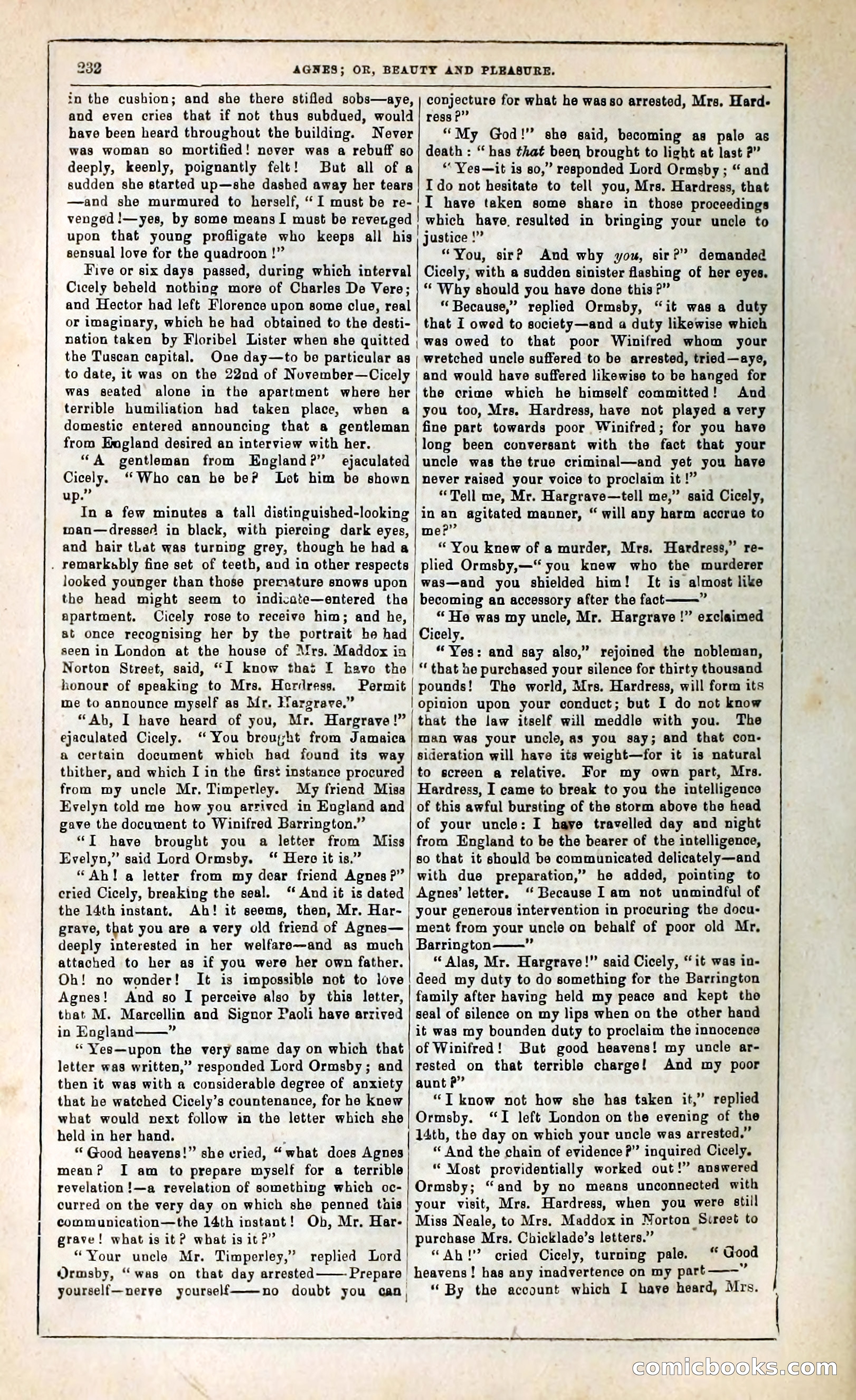 Agnes, or, Beauty and Pleasure — page 240 of 394