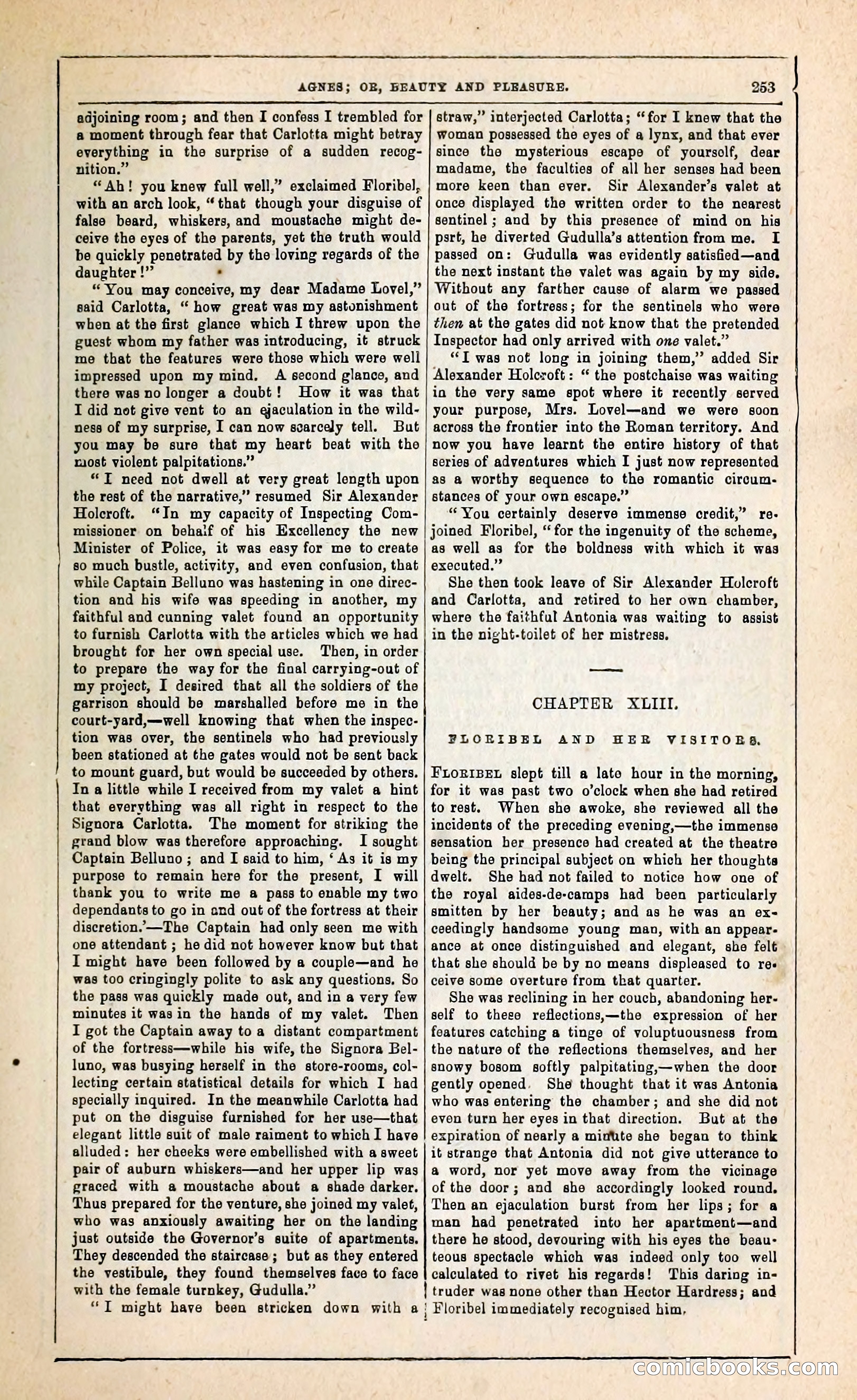 Agnes, or, Beauty and Pleasure — page 261 of 394
