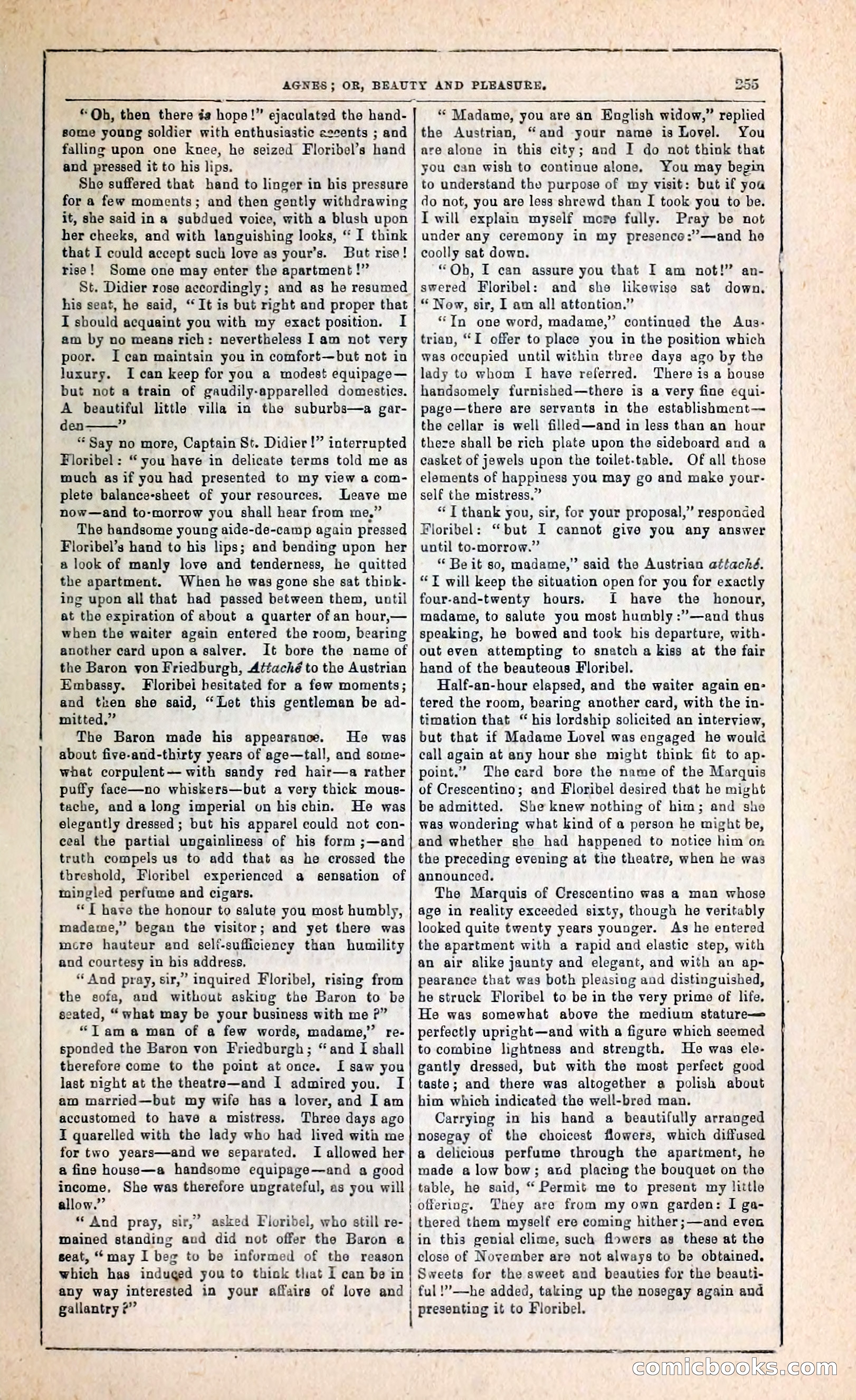 Agnes, or, Beauty and Pleasure — page 263 of 394