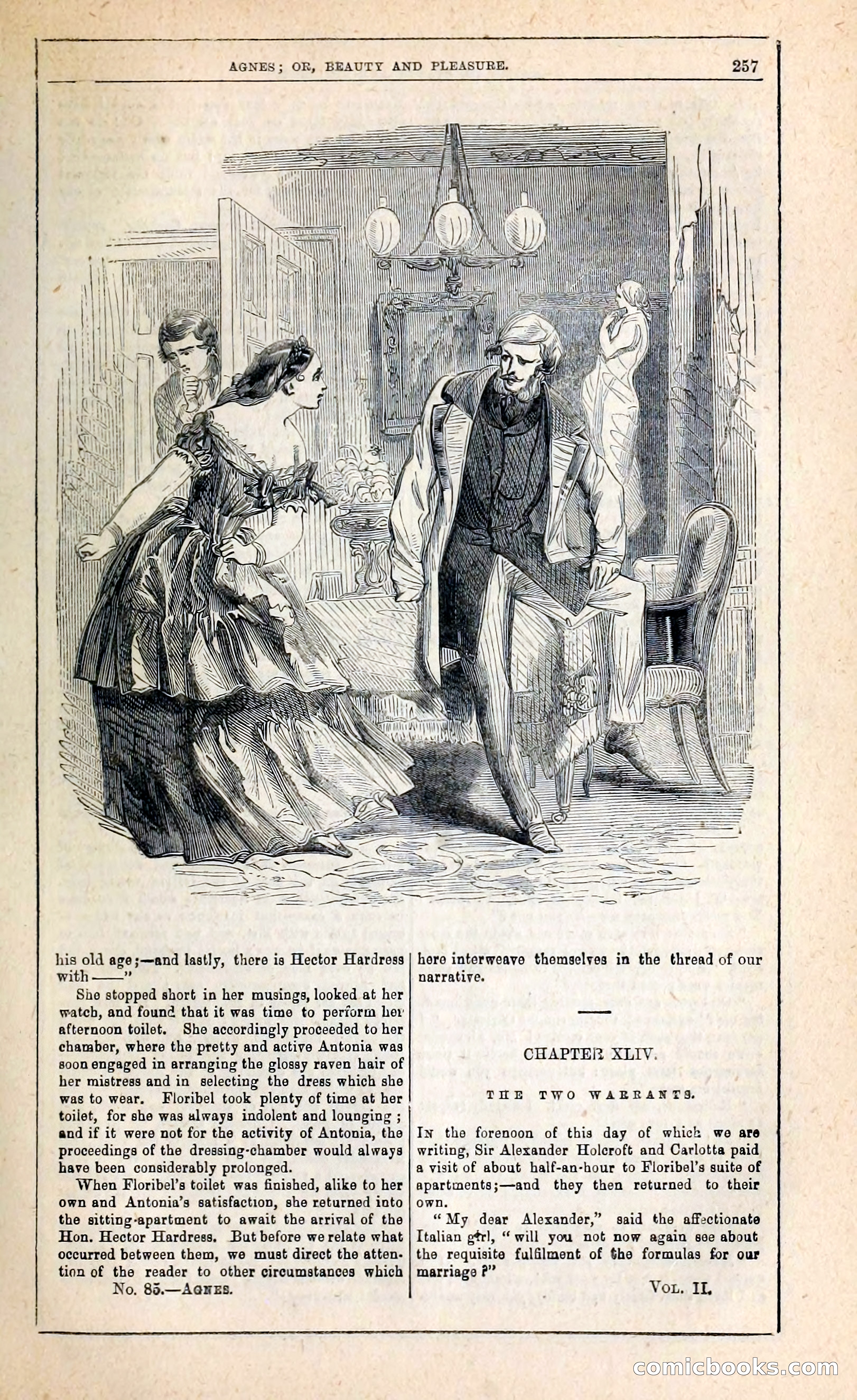 Agnes, or, Beauty and Pleasure — page 265 of 394