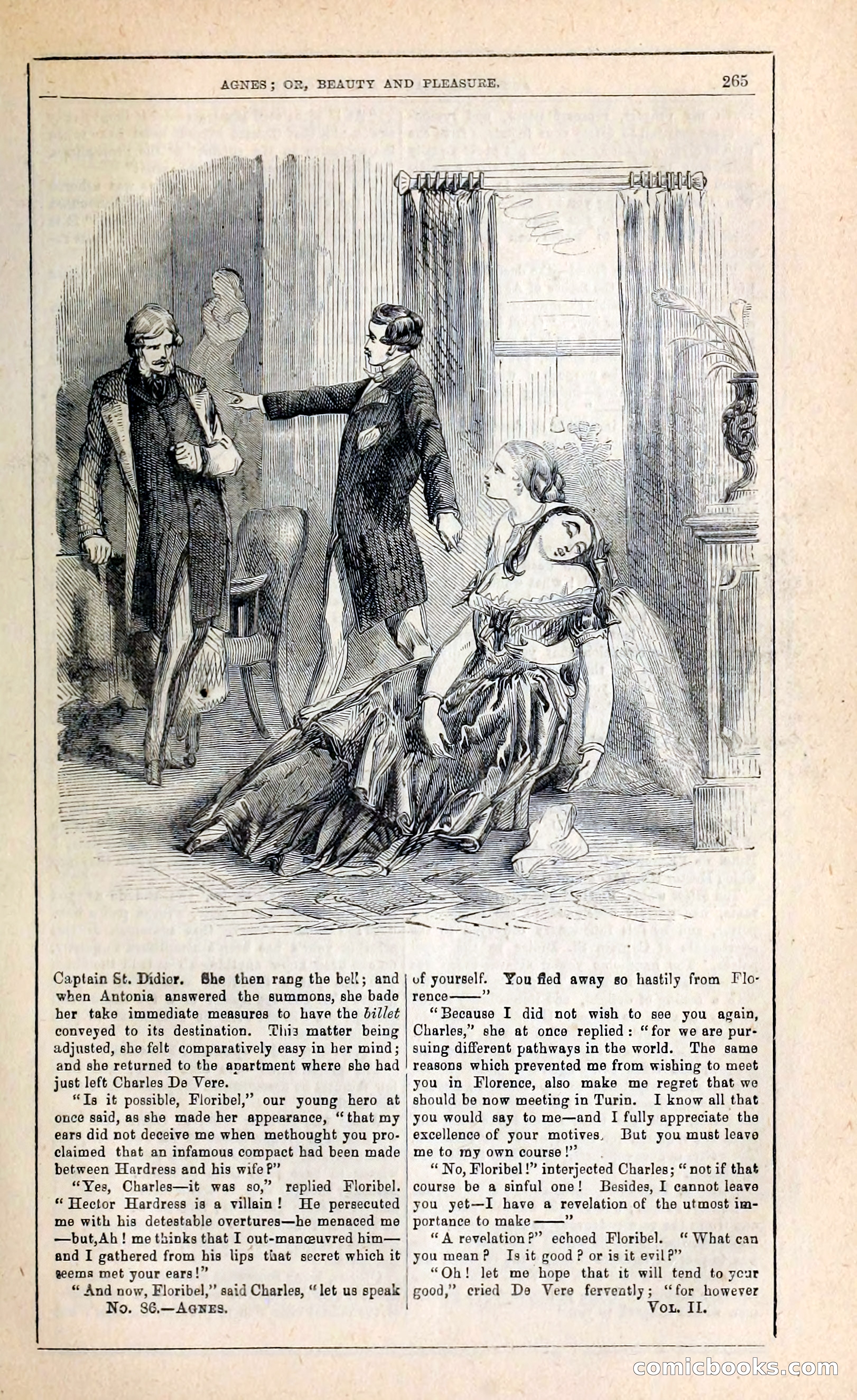 Agnes, or, Beauty and Pleasure — page 273 of 394