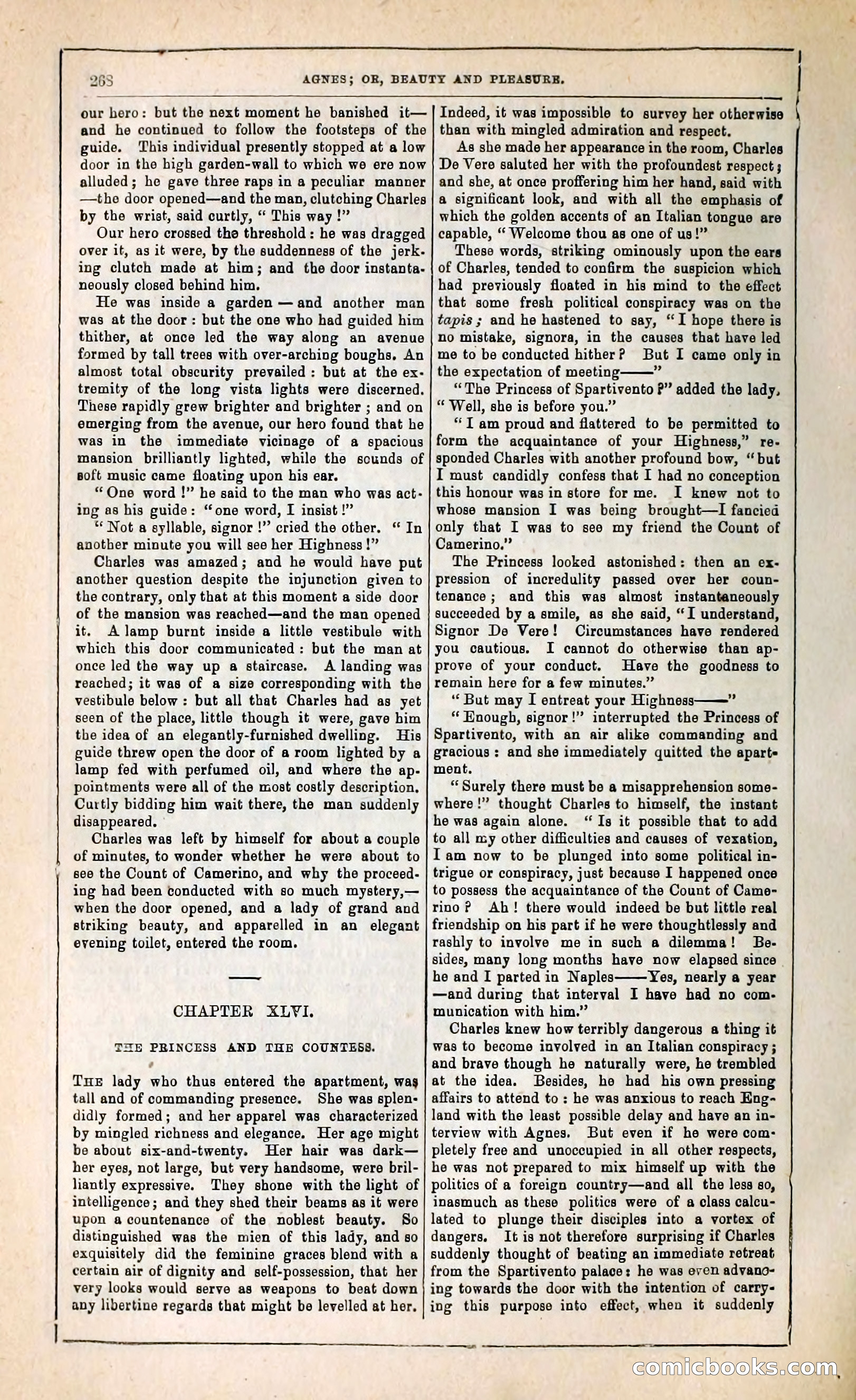 Agnes, or, Beauty and Pleasure — page 276 of 394