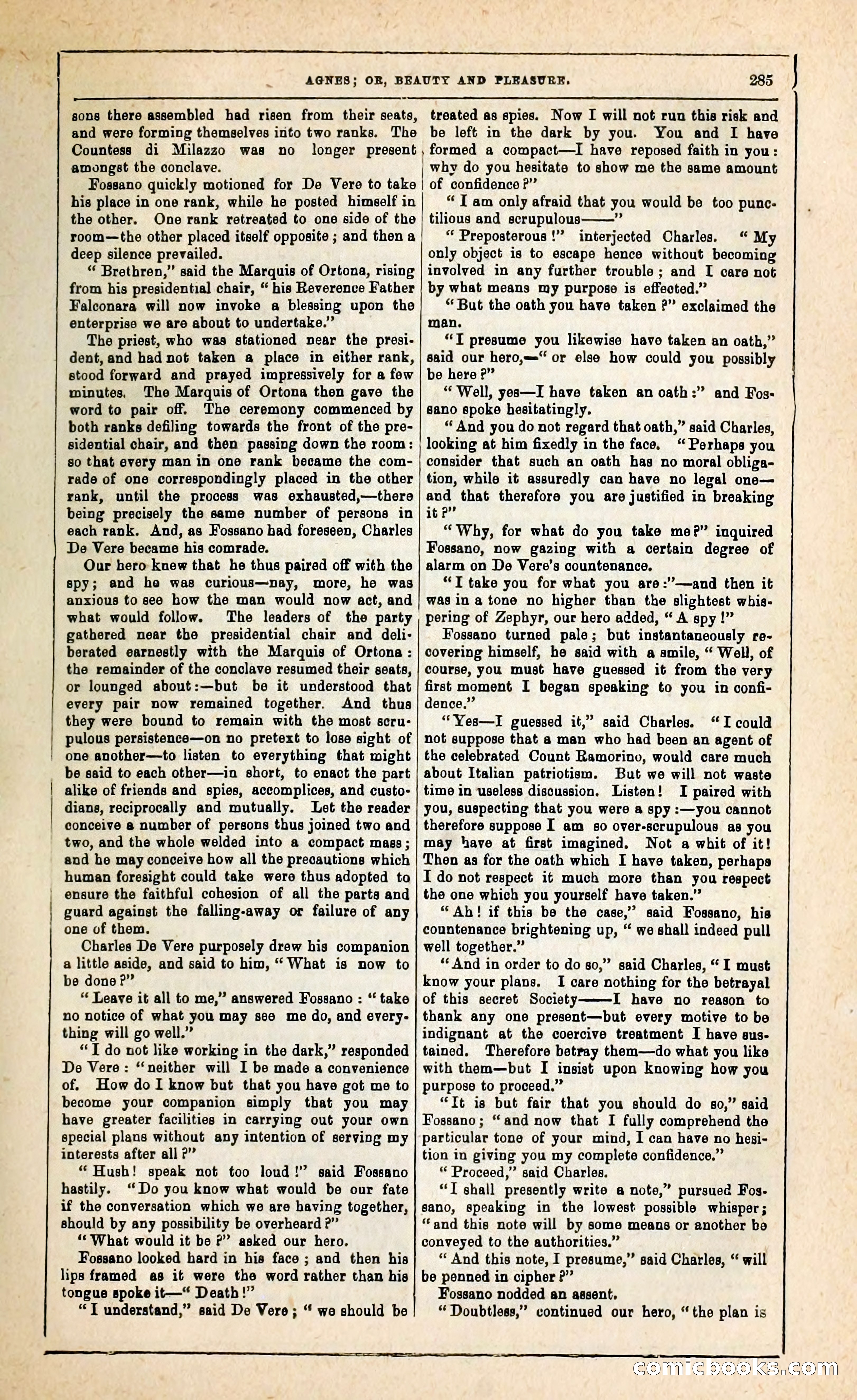 Agnes, or, Beauty and Pleasure — page 293 of 394