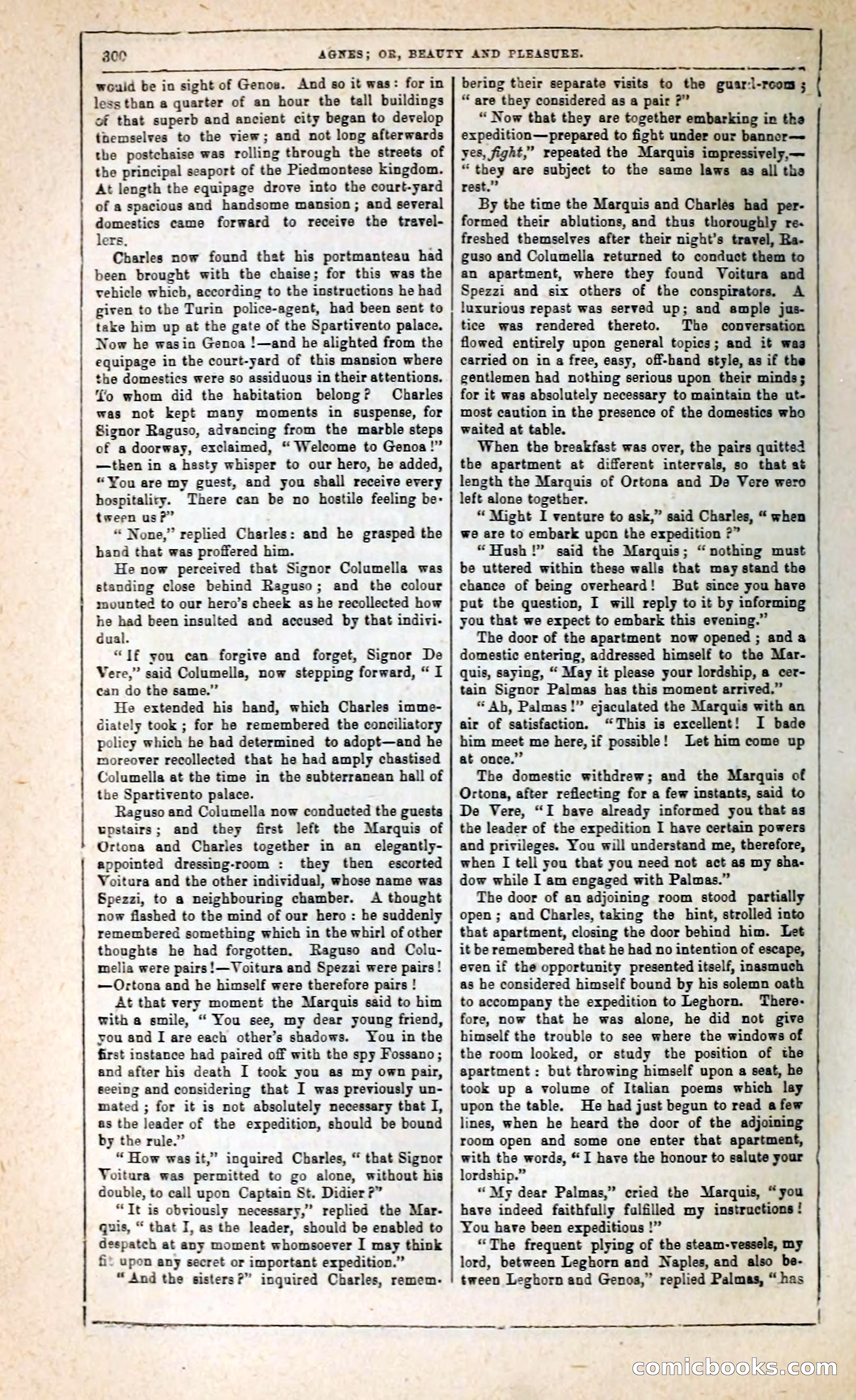 Agnes, or, Beauty and Pleasure — page 308 of 394