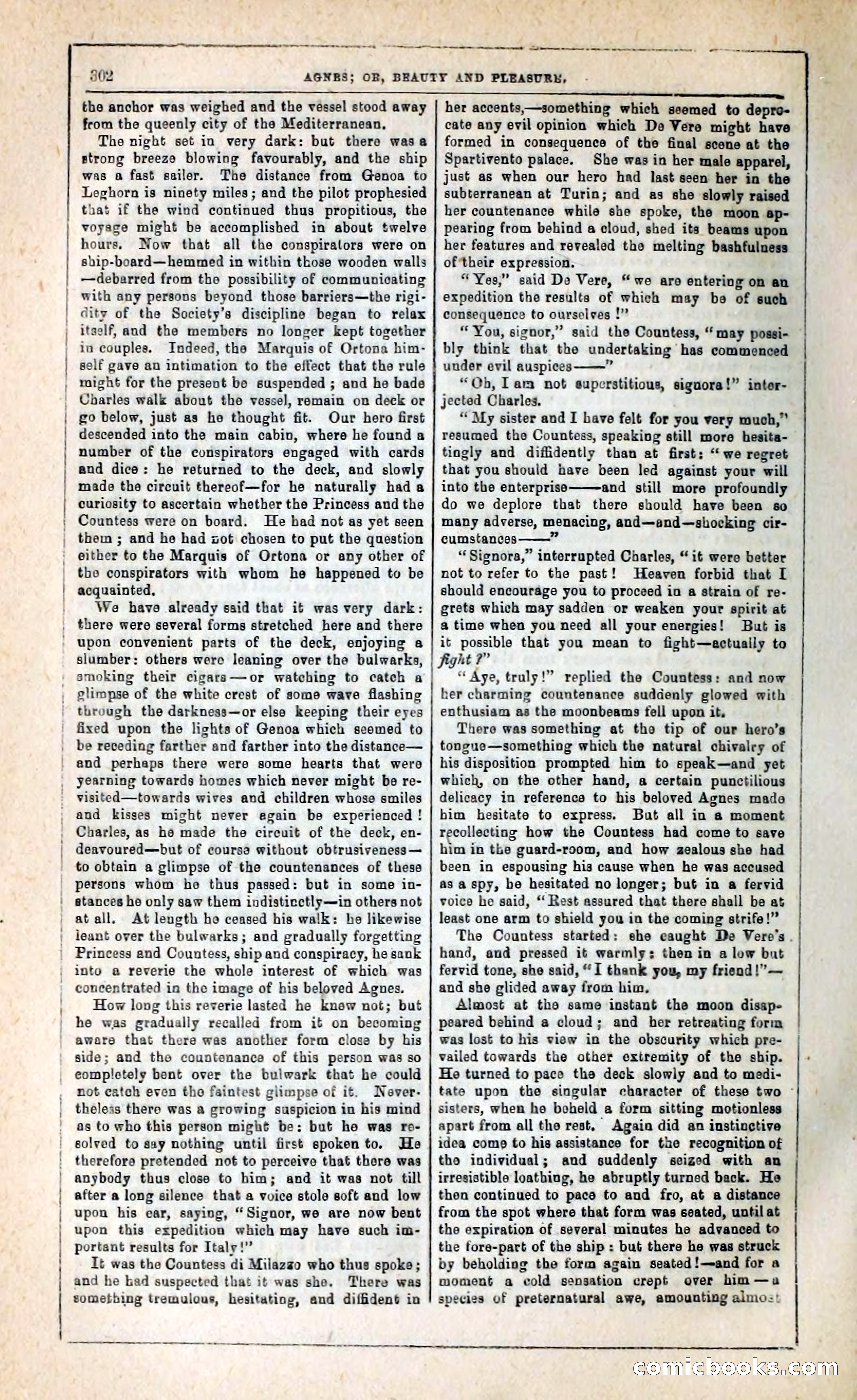 Agnes, or, Beauty and Pleasure — page 310 of 394