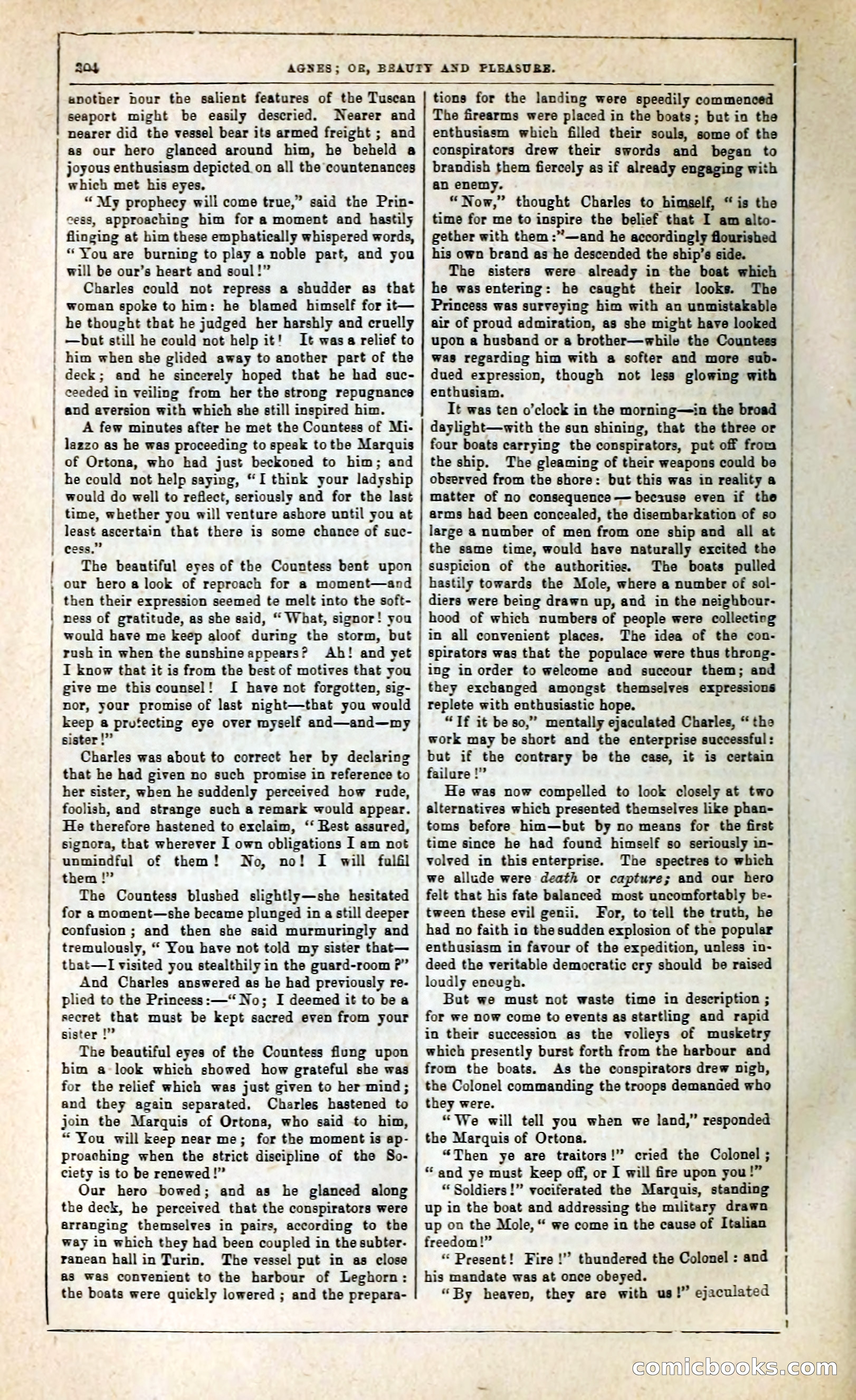 Agnes, or, Beauty and Pleasure — page 312 of 394