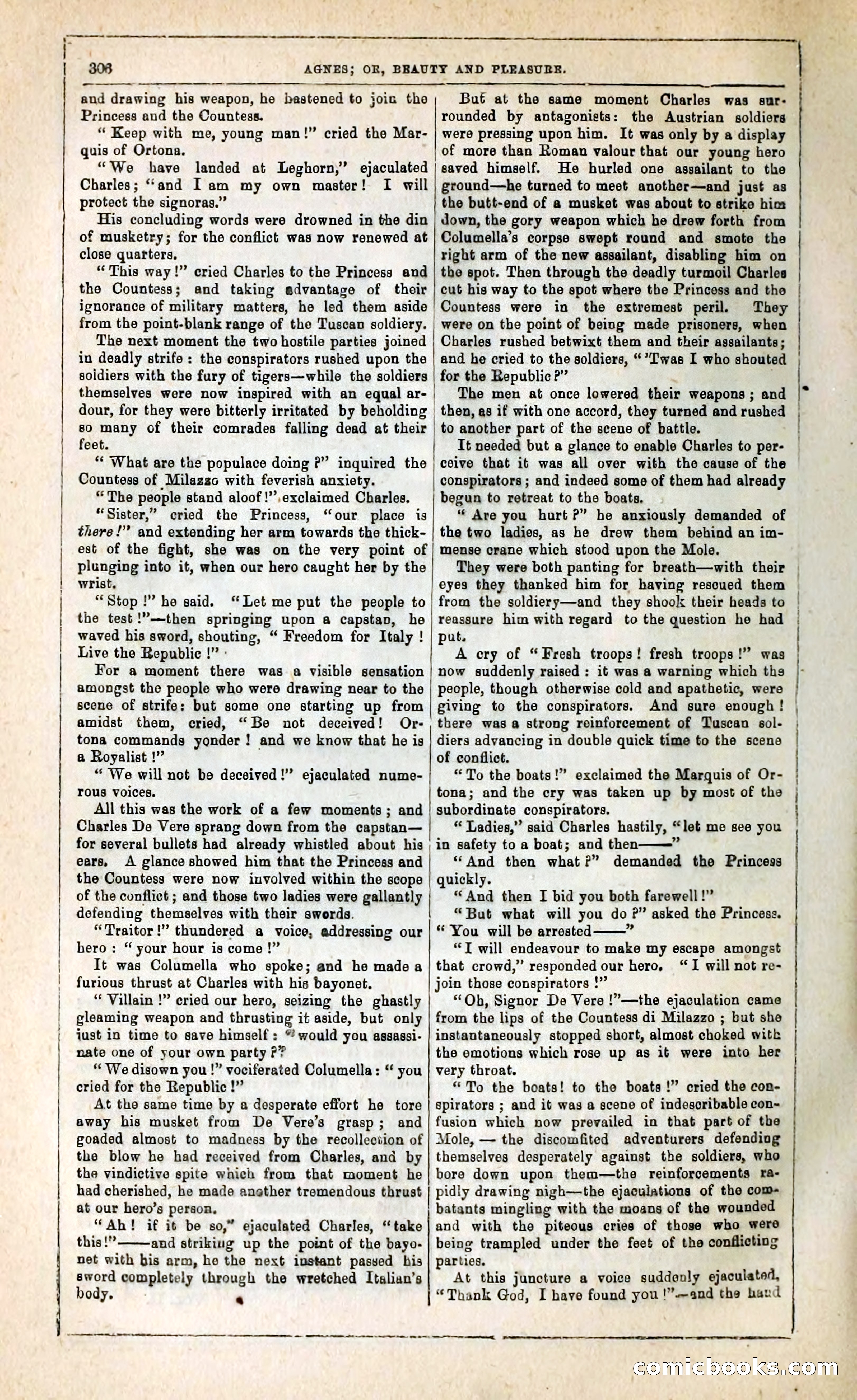Agnes, or, Beauty and Pleasure — page 314 of 394