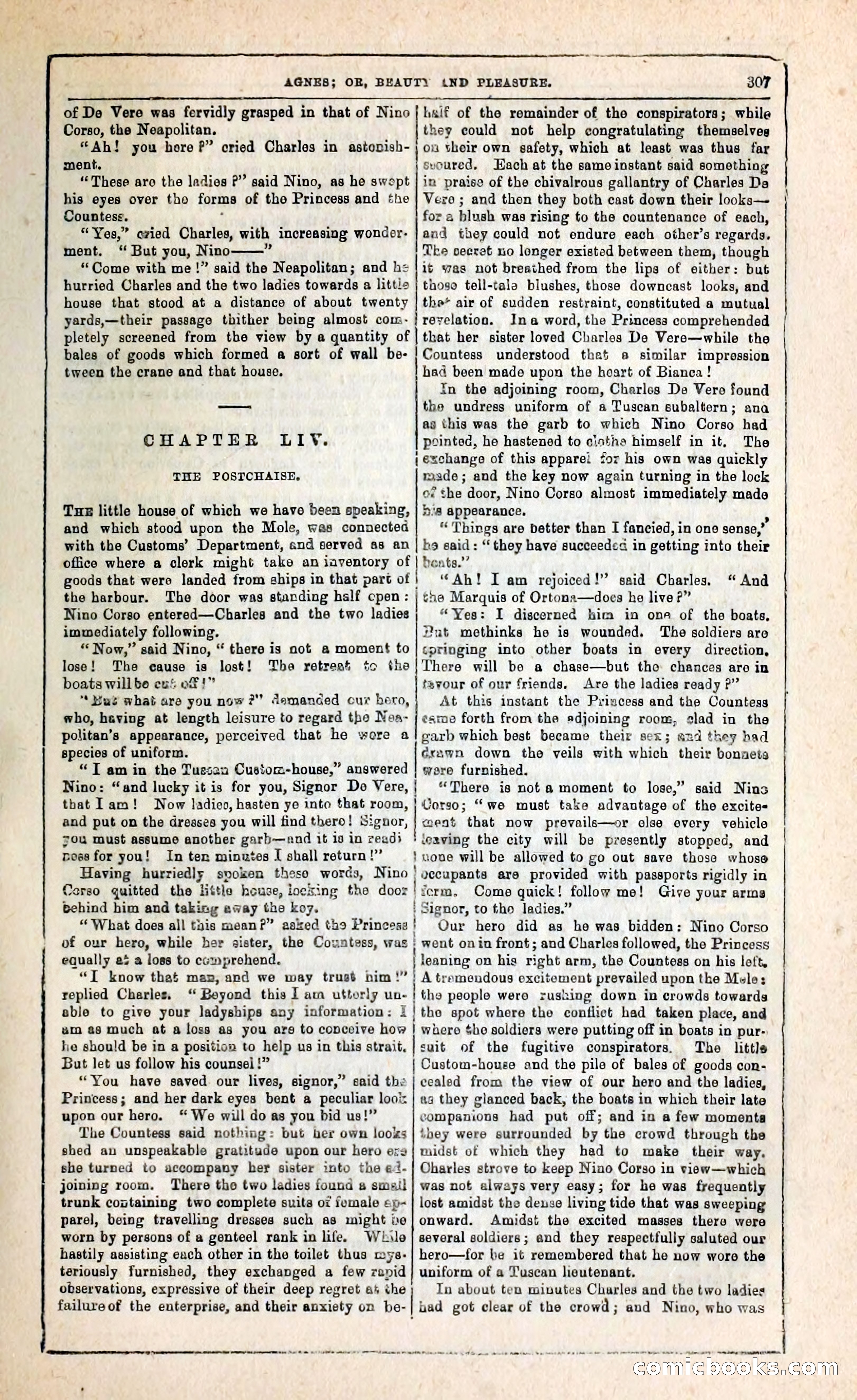 Agnes, or, Beauty and Pleasure — page 315 of 394