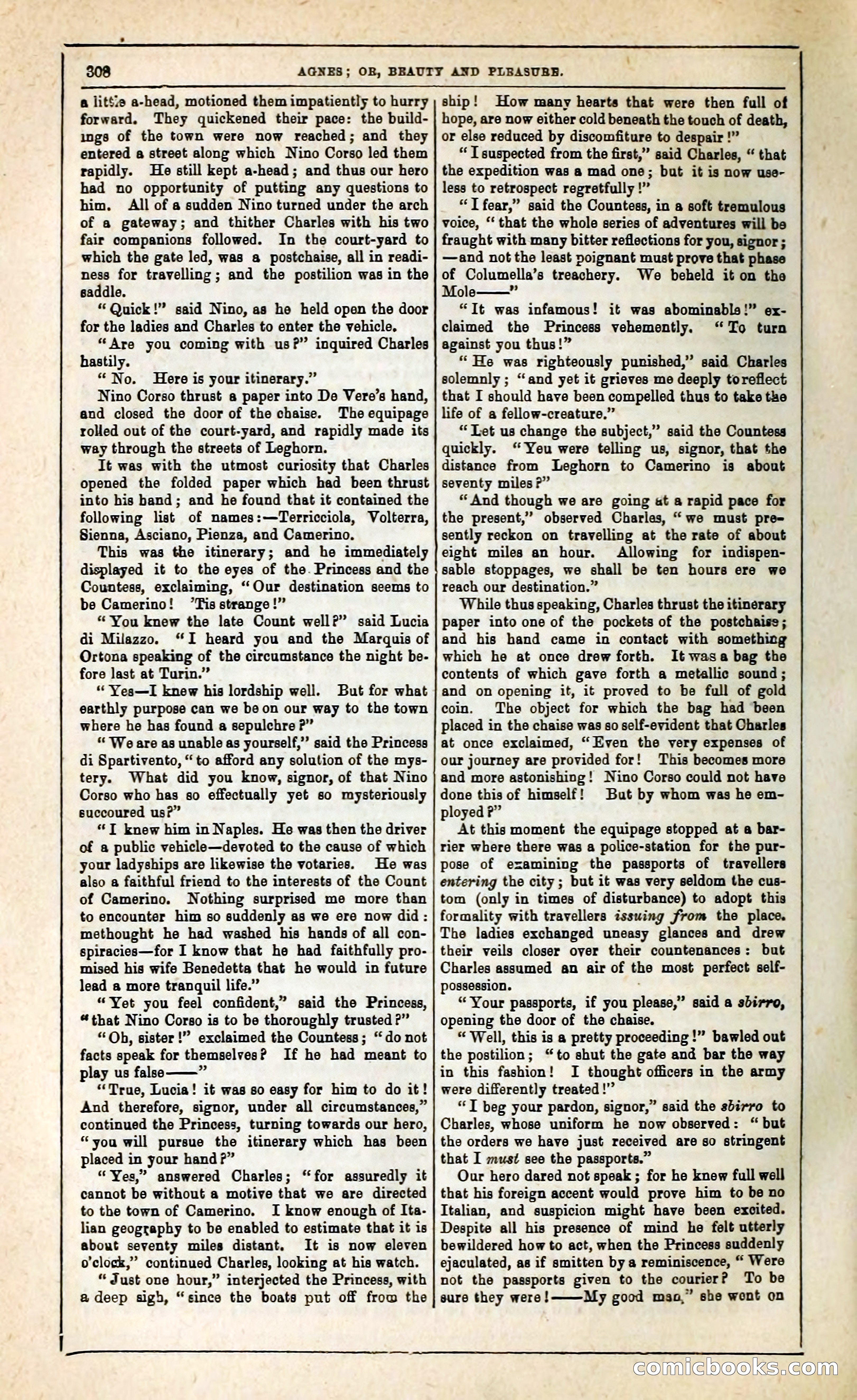 Agnes, or, Beauty and Pleasure — page 316 of 394