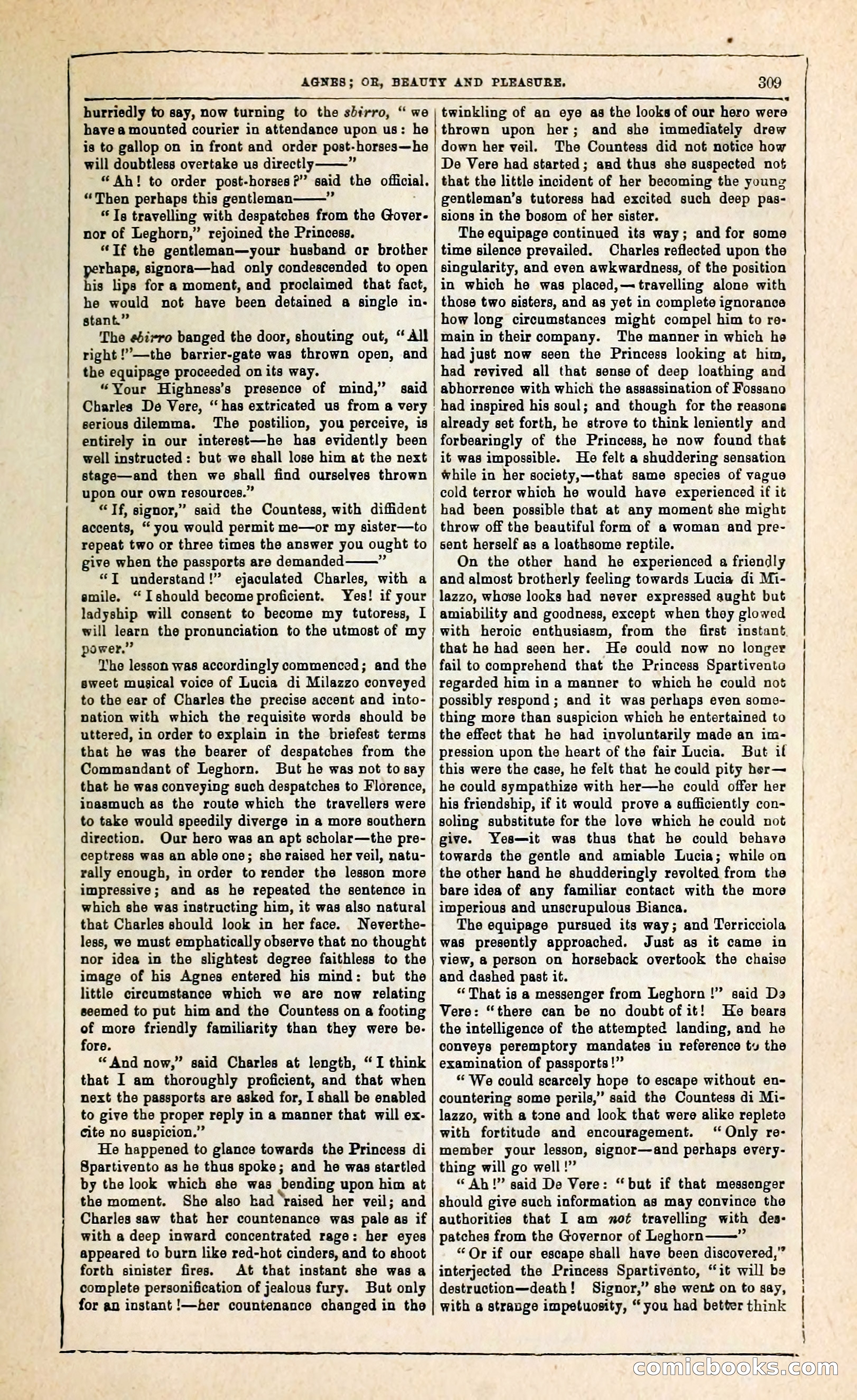 Agnes, or, Beauty and Pleasure — page 317 of 394