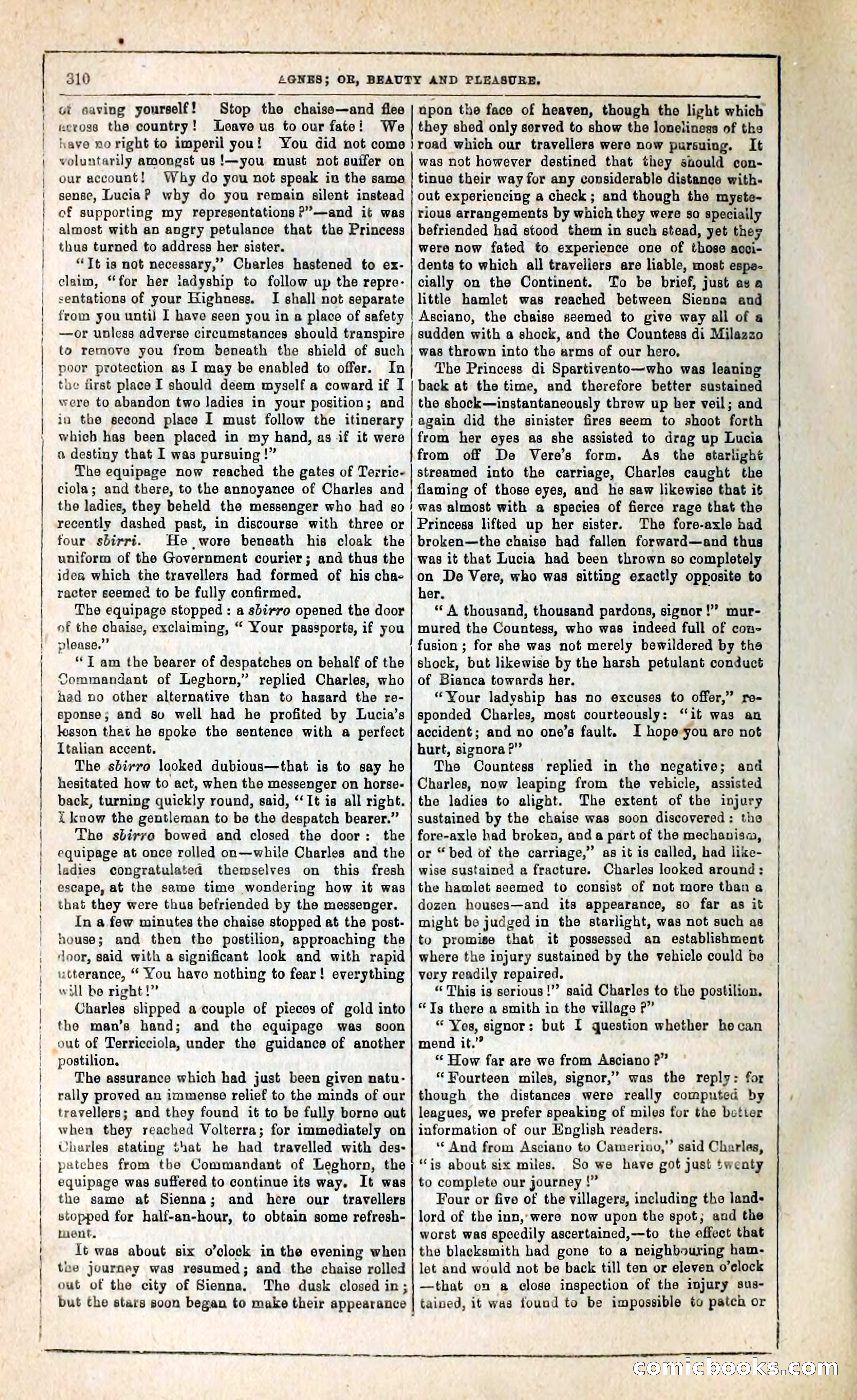 Agnes, or, Beauty and Pleasure — page 318 of 394