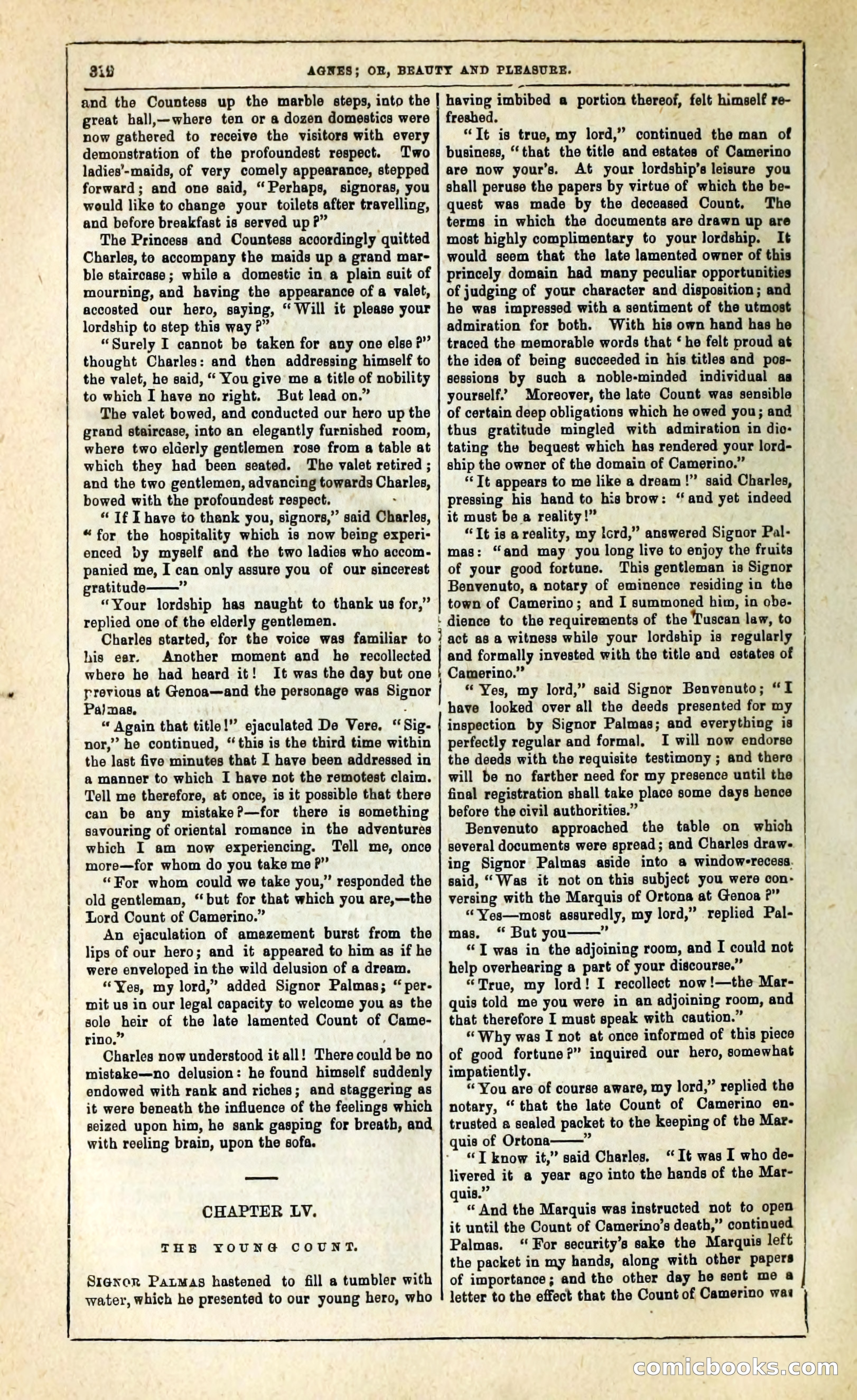 Agnes, or, Beauty and Pleasure — page 320 of 394