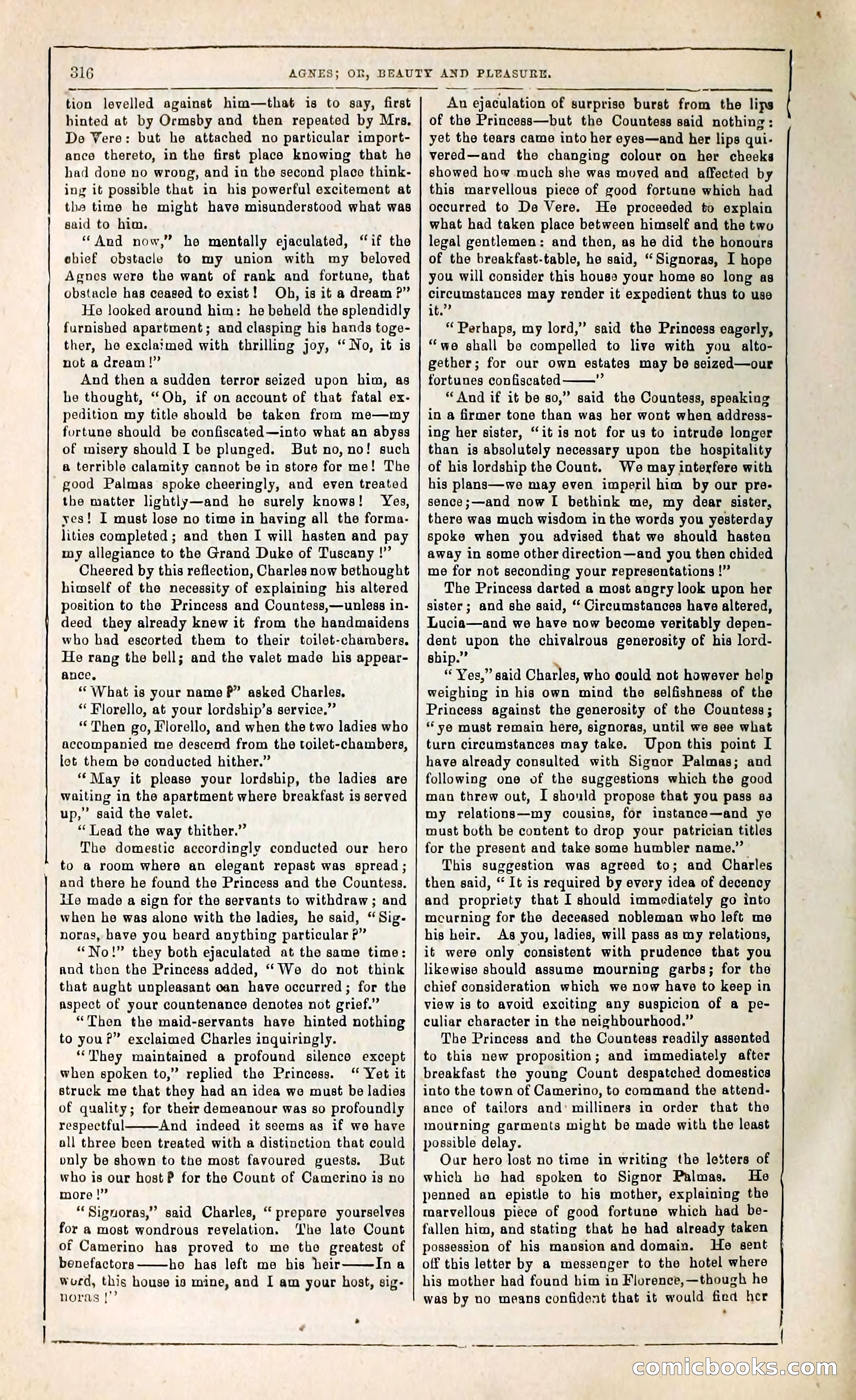 Agnes, or, Beauty and Pleasure — page 324 of 394