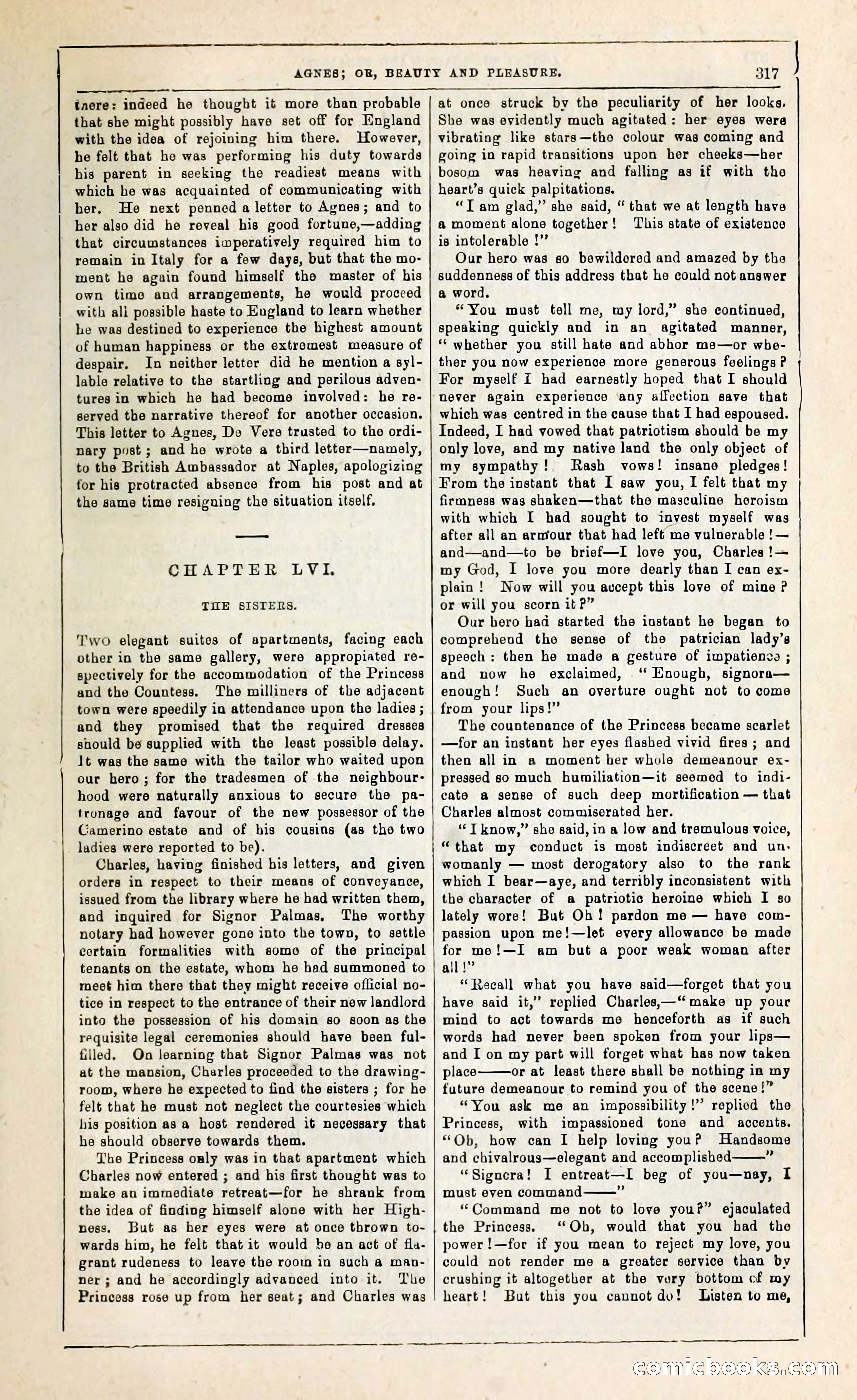 Agnes, or, Beauty and Pleasure — page 325 of 394